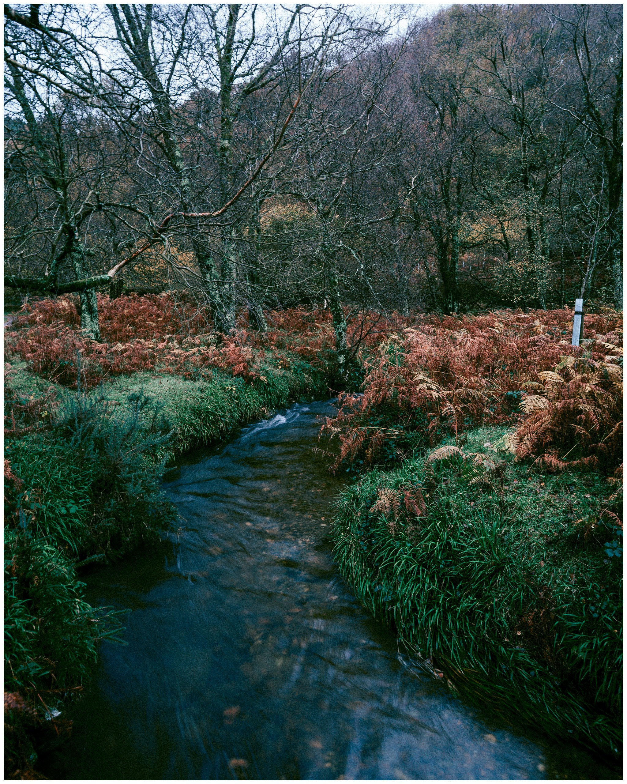 IRELAND. Inna Mendelson — Photographer