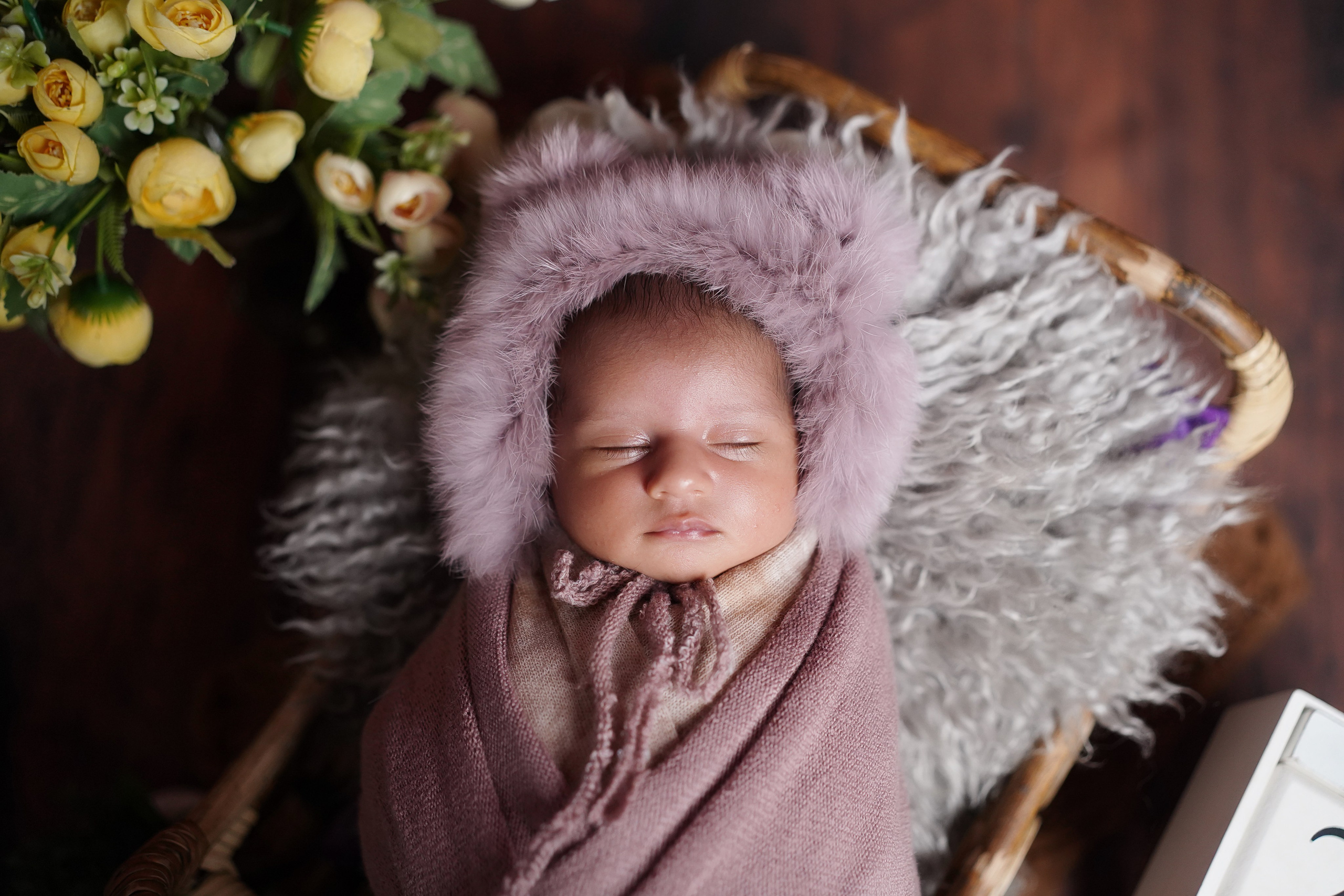 New born. TNF photo & filming