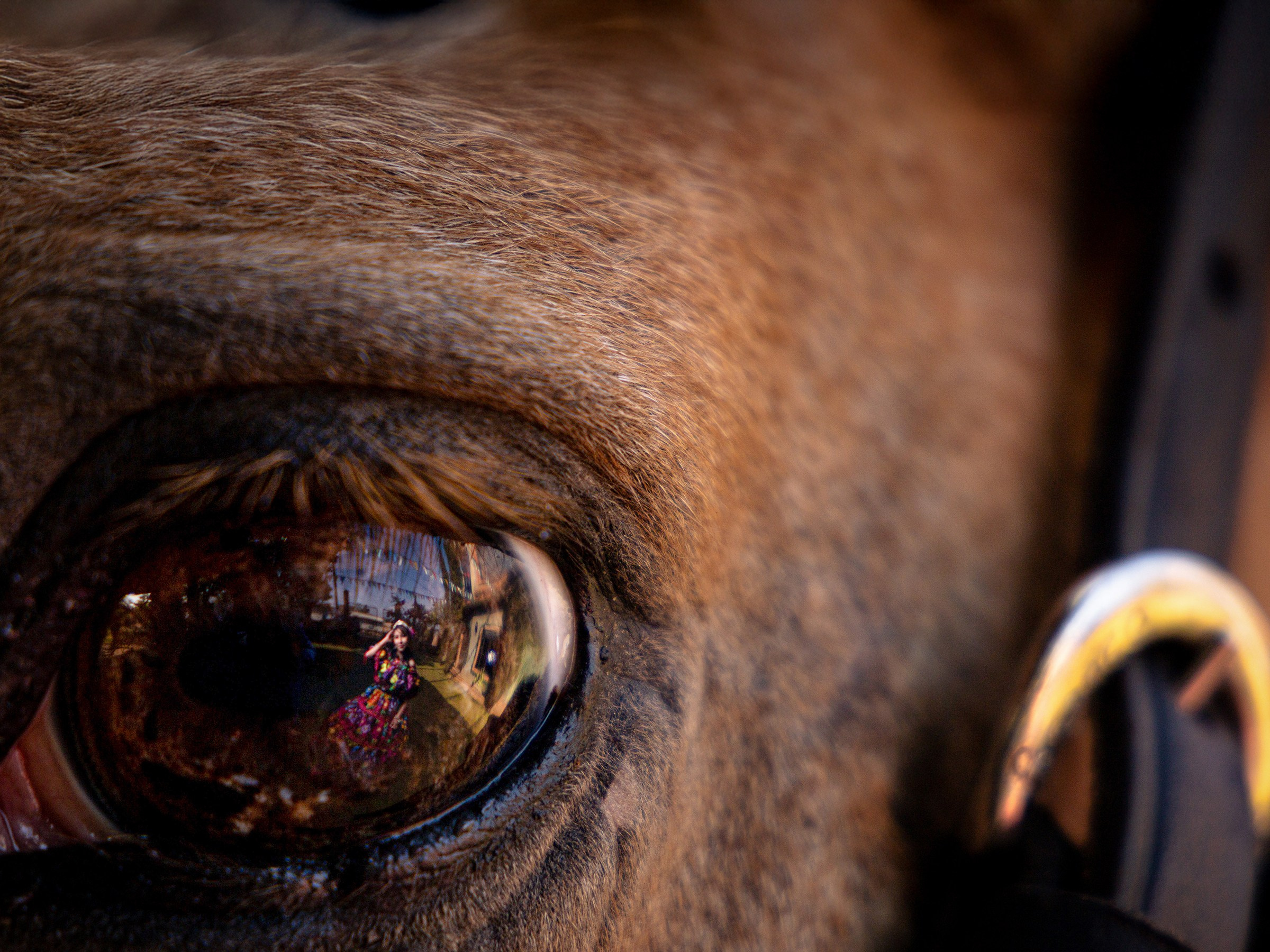 Album 5. Emmanuel fotografía y video en Chiapas