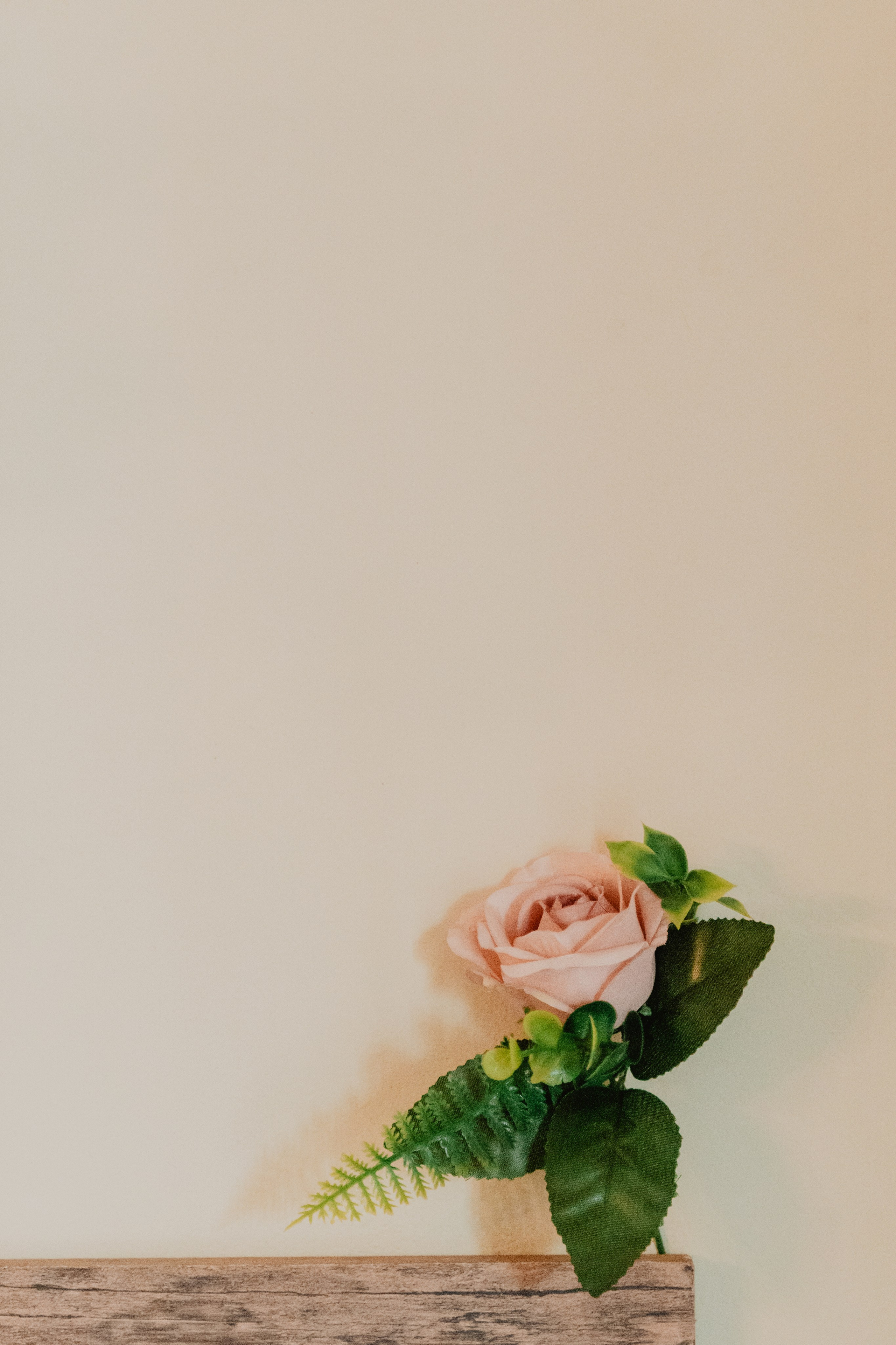 FERNANDO + MARIBEL | BODA RELIGIOSA. Studio KVTA | Fotografía y Video de Bodas en Arequipa