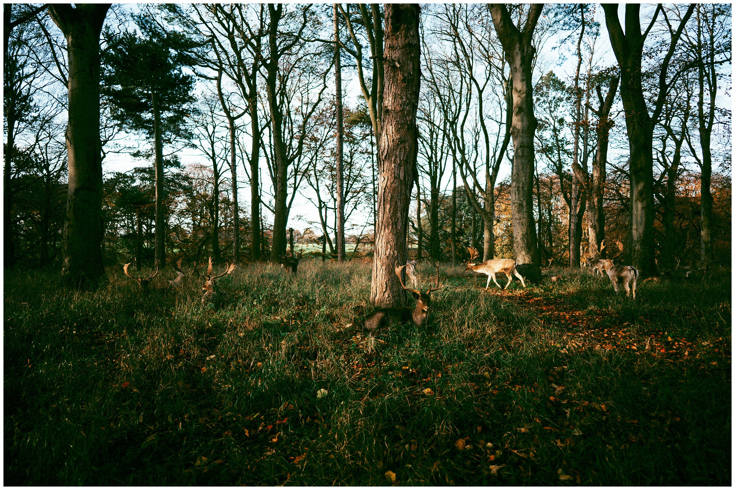 IRELAND. Inna Mendelson — Photographer