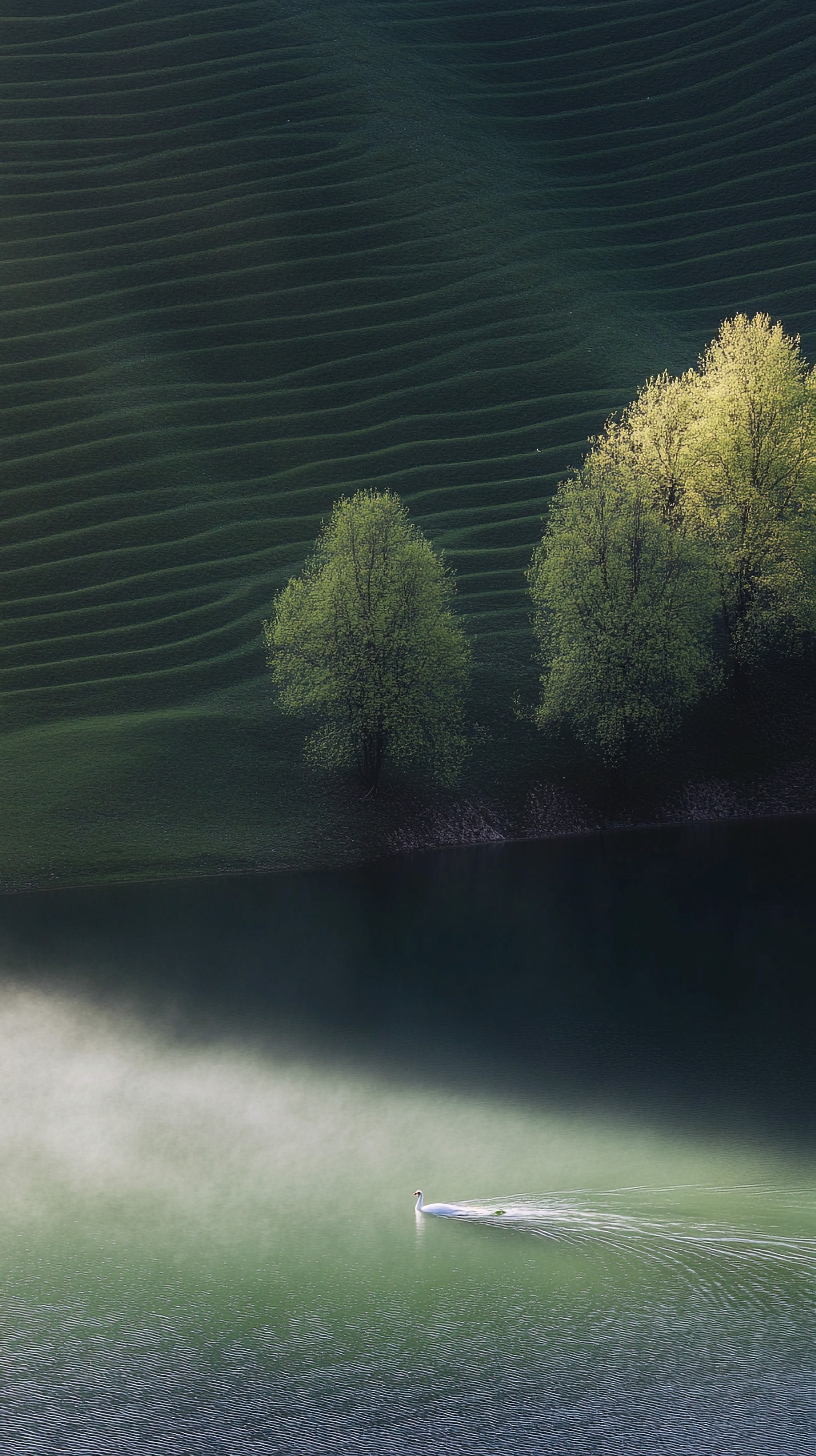 ПЕЙЗАЖ ФОТО СОЗДАНОЕ НЕЙРОСЕТЬЮ. LUKIN IGOR Photography