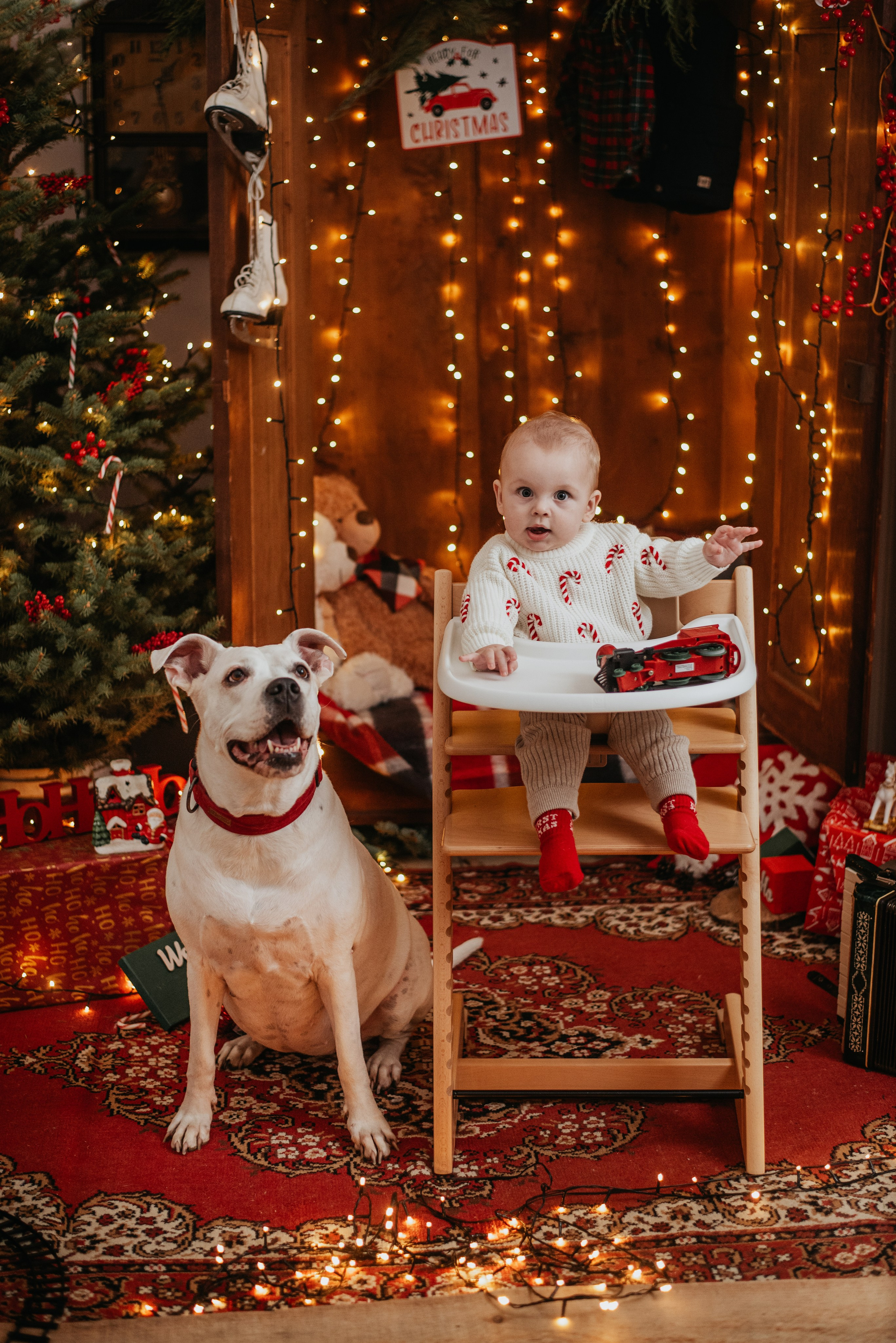 MINI SESJE ŚWIĄTECZNE. Dominika Strachacka Fotografia | Fotograf ślubny i rodzinny Opole Lubelskie Lublin