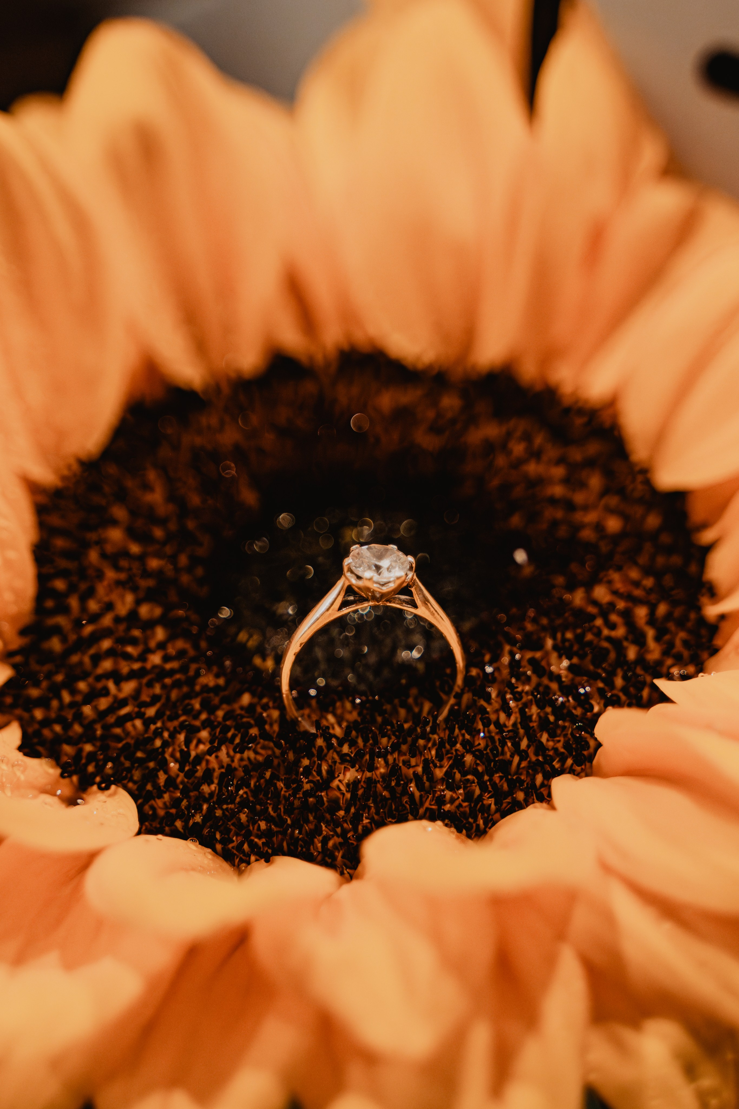 FERNANDO + MARIBEL | BODA RELIGIOSA. Studio KVTA | Fotografía y Video de Bodas en Arequipa