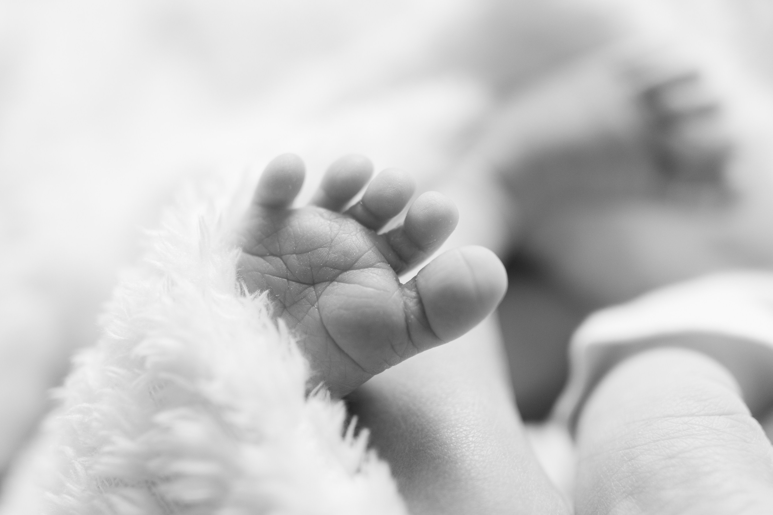 Fresh 48. Fotografka Andrea Hlaváčová / Karlovarský kraj / Karlovy Vary Sokolov