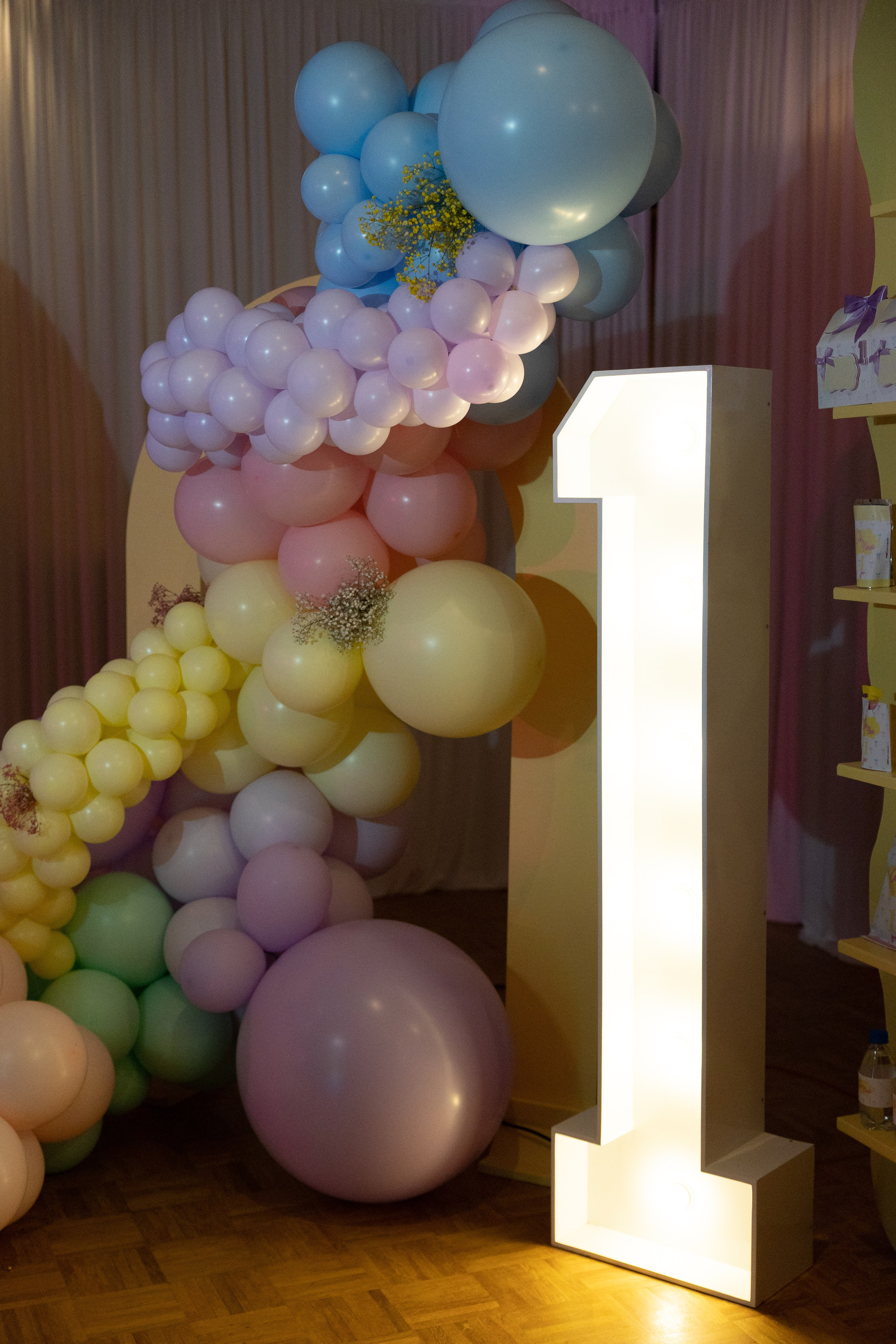 1 st Birthday. Portrait and Family Photographer in Netherlands