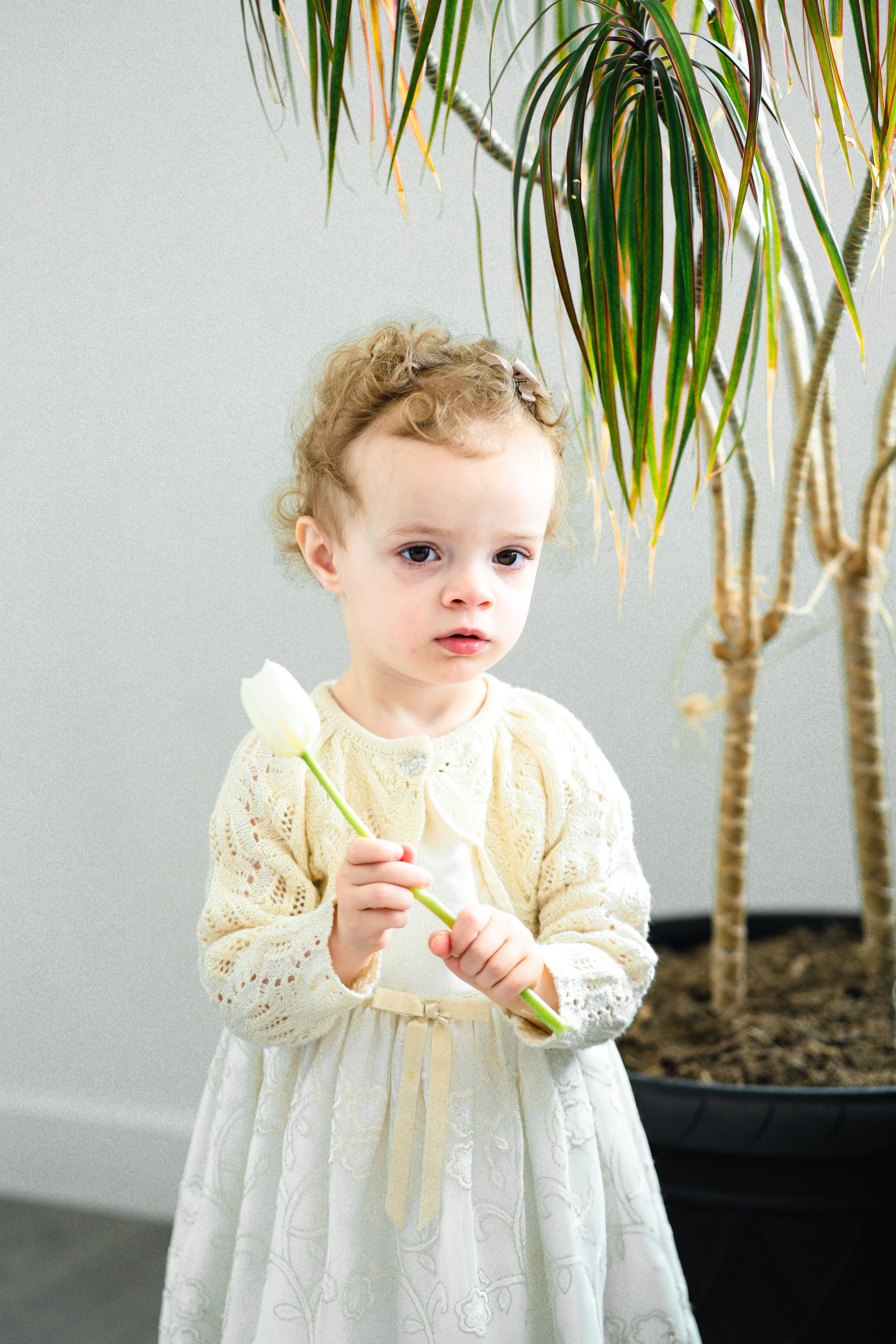 Milish Family. Sacramento Photographer — Olga Maltseva based in California