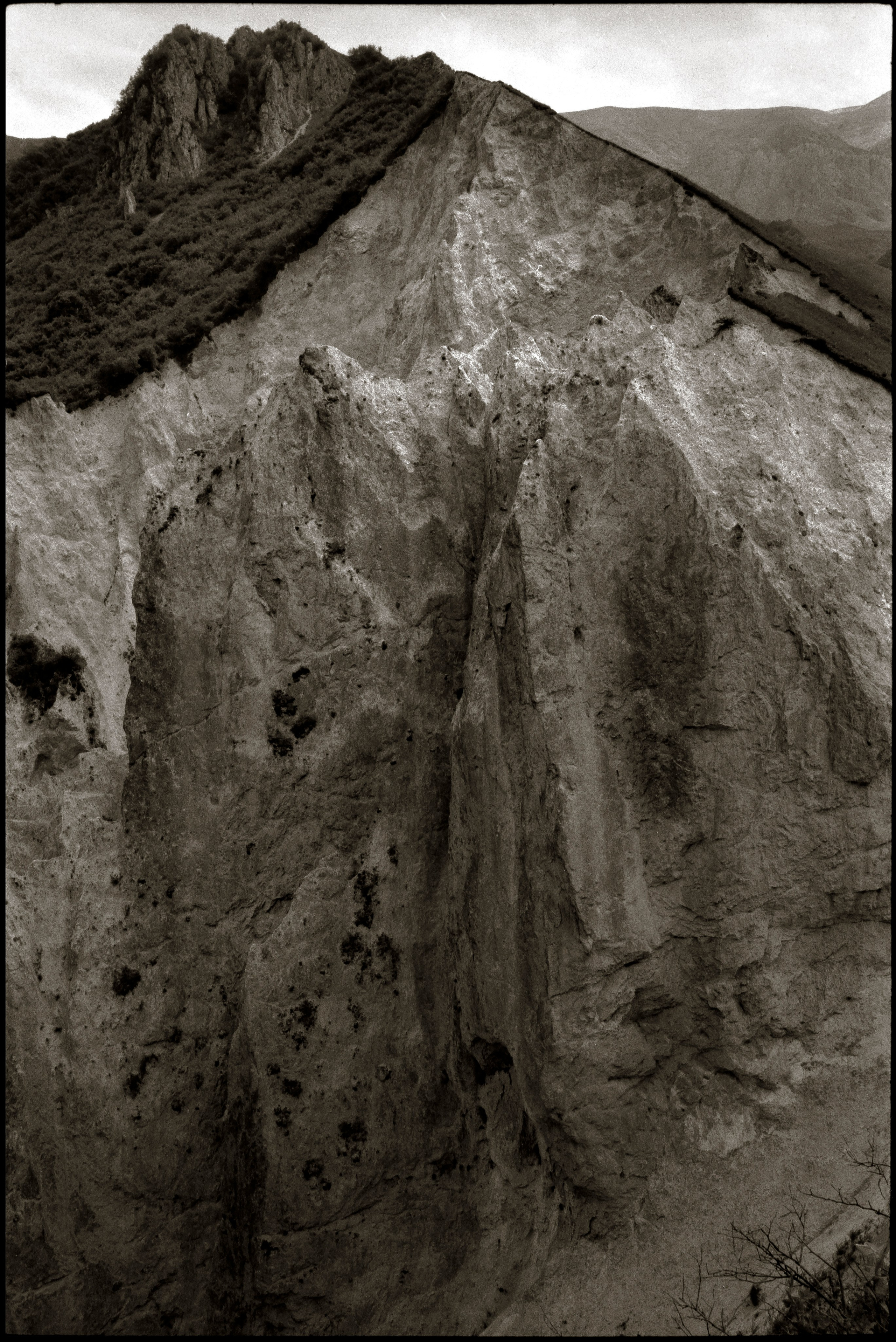 NATURE. Www.sananaleskerov.com