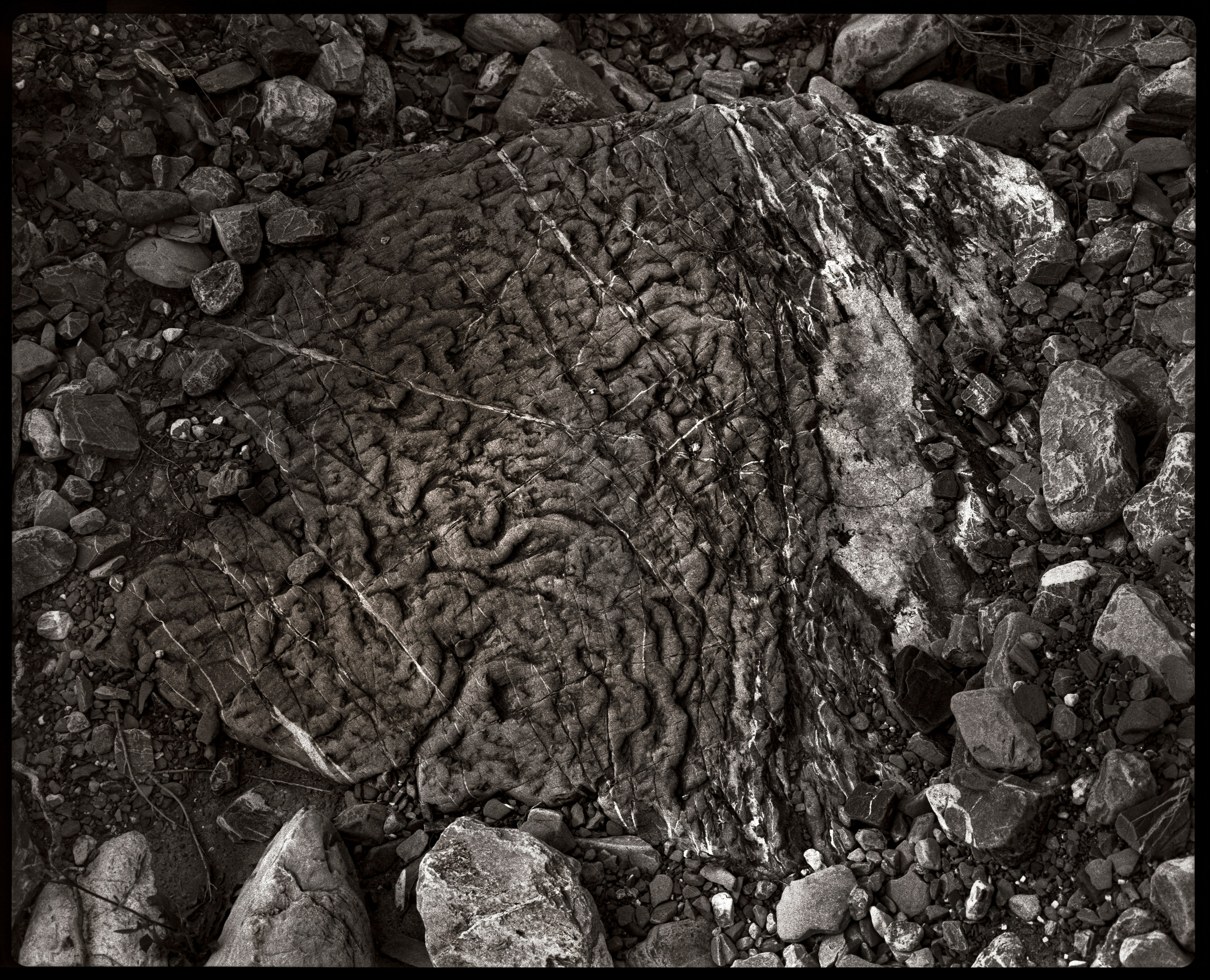 NATURE. Www.sananaleskerov.com