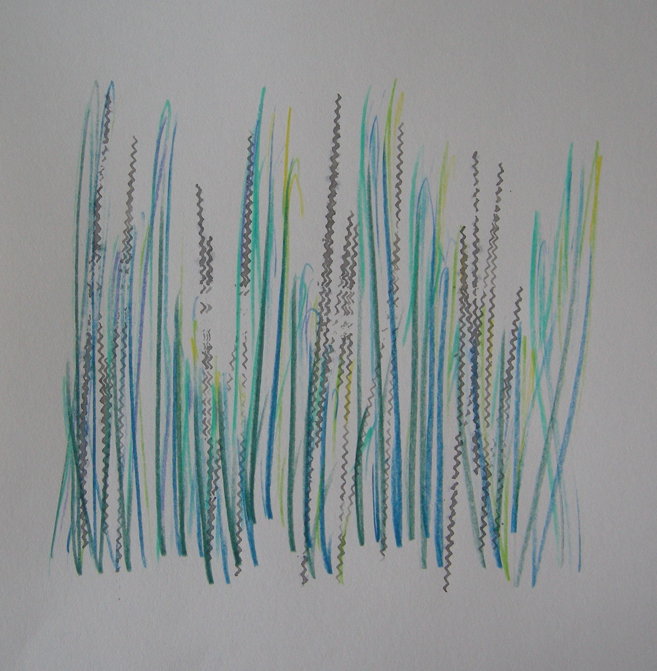 O.T. 2024 - 30x30