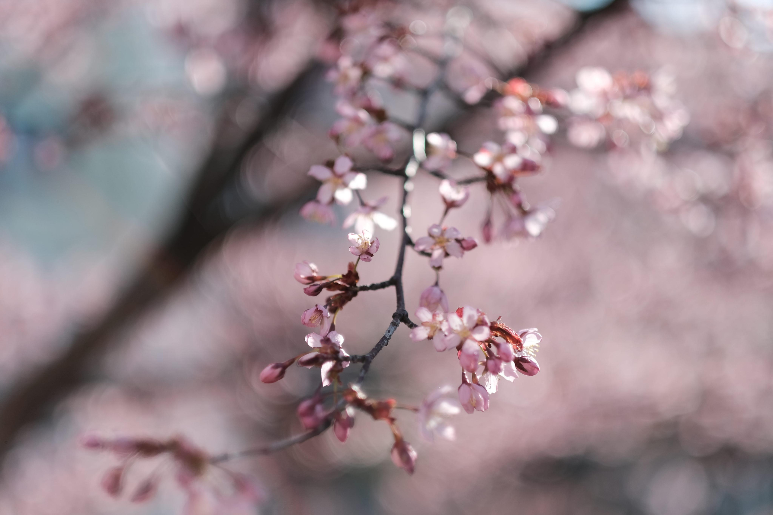 Dimi Savolainen — Your Photographer in Finland