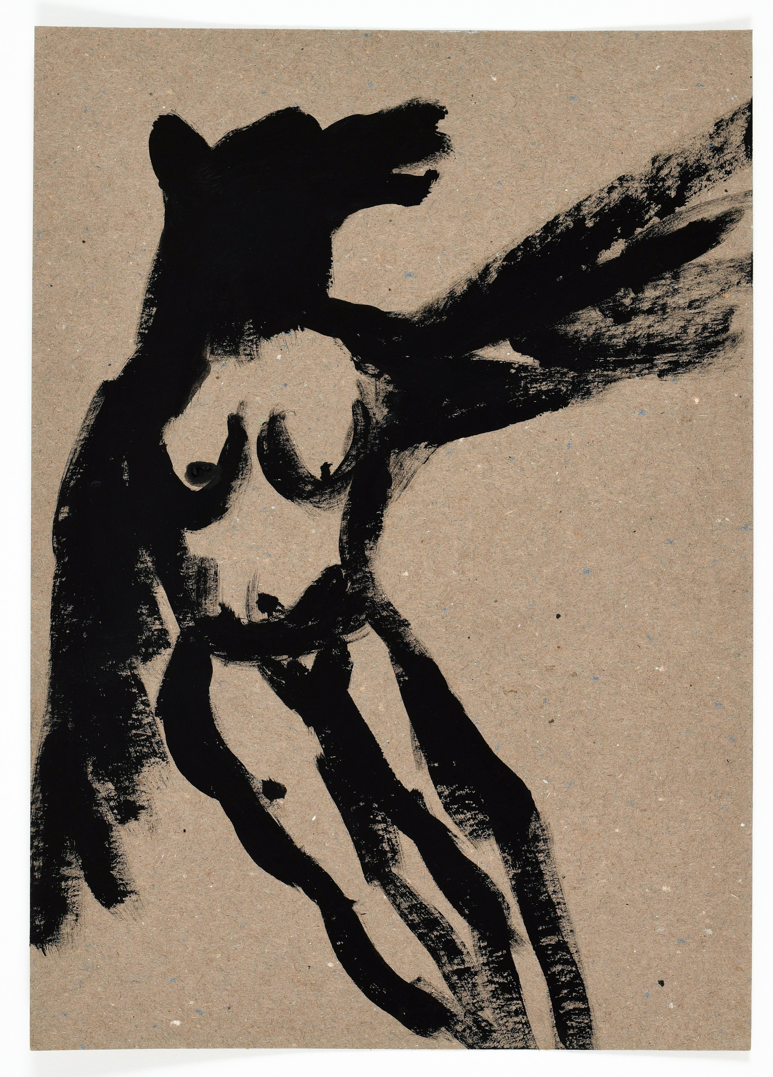 Birds and rats, 2020. Haim Sokol’s artists website