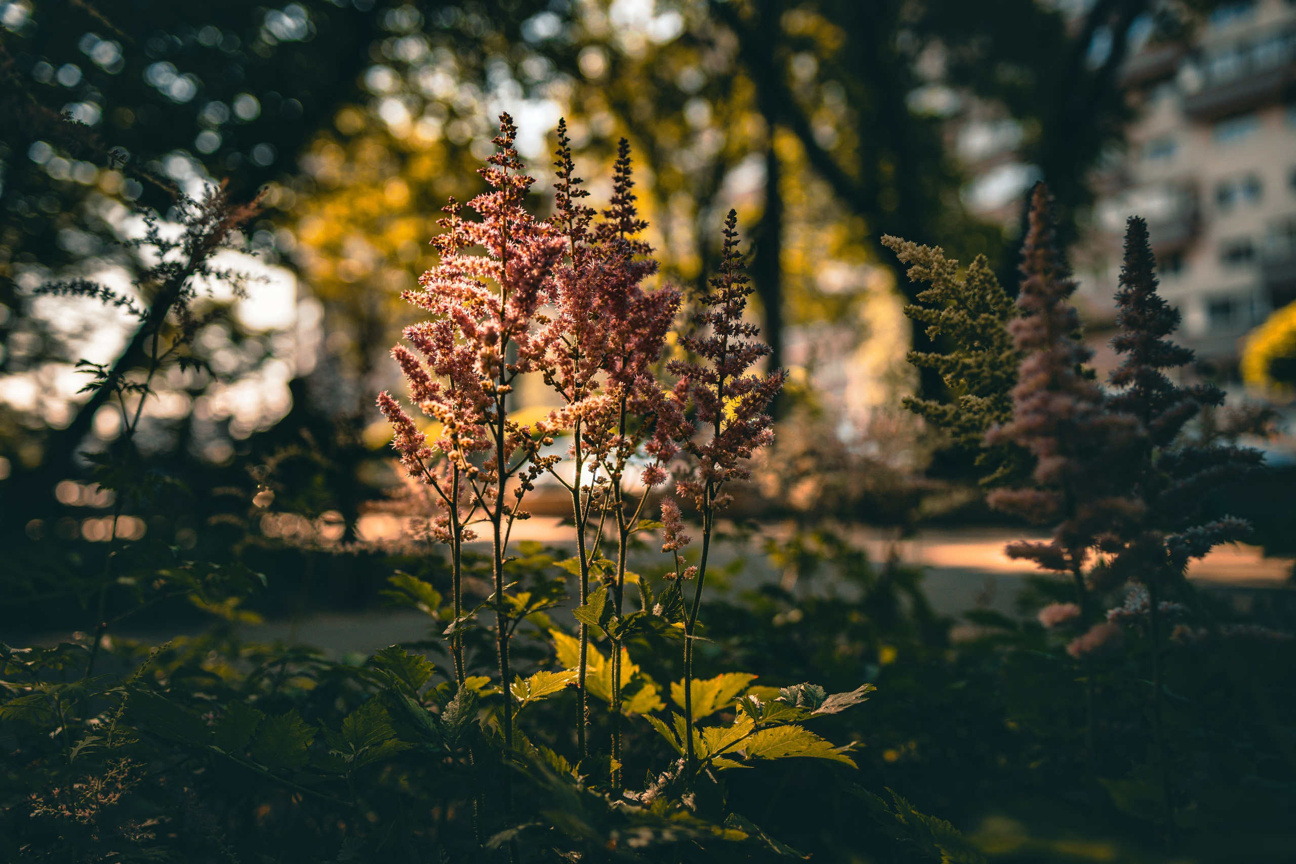 Portret bebeluș la botez realizat de Mitroi Iulian