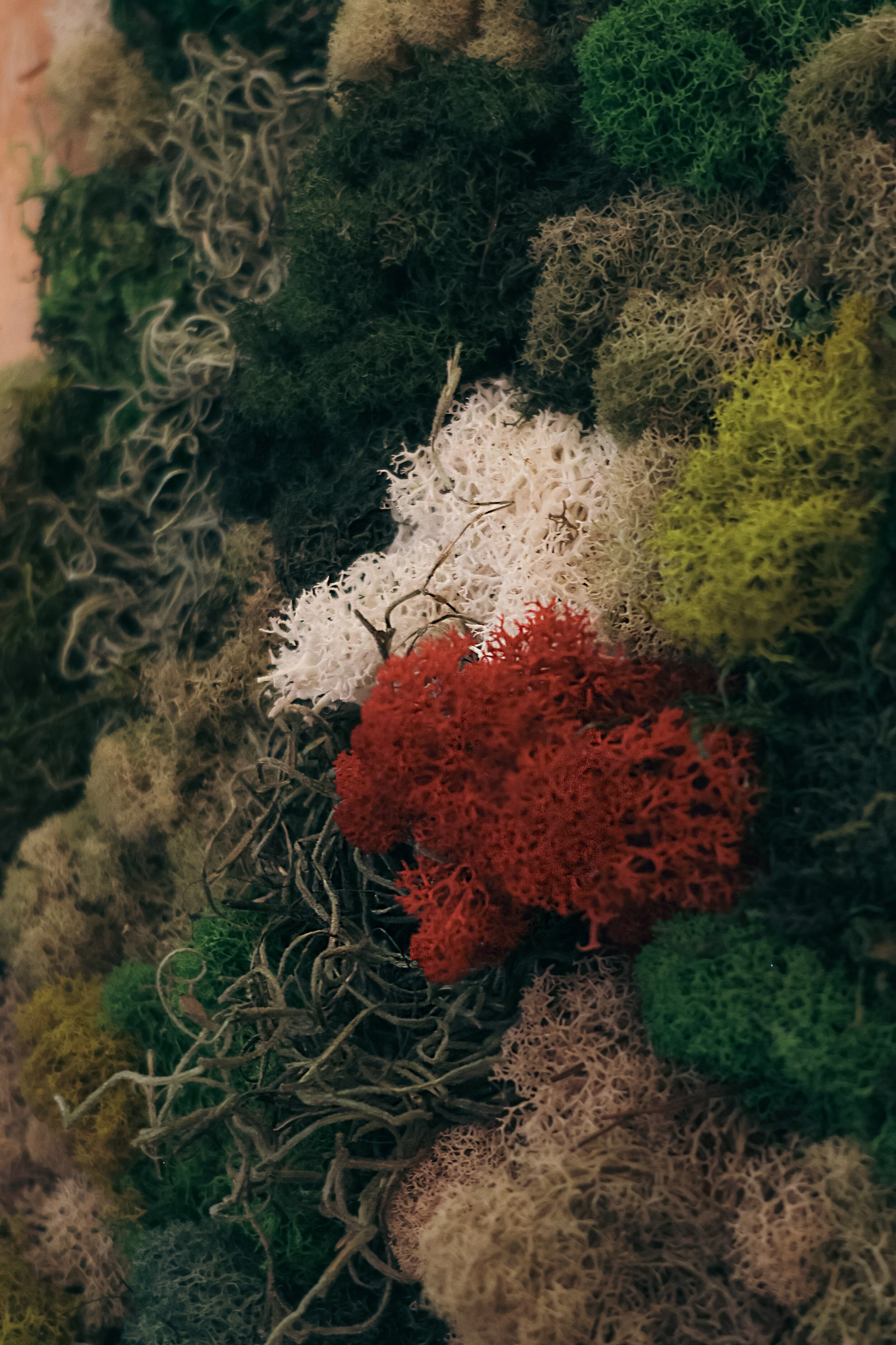 Anna & Moss magic, Content. Yana Bobrova | Artistic Photography