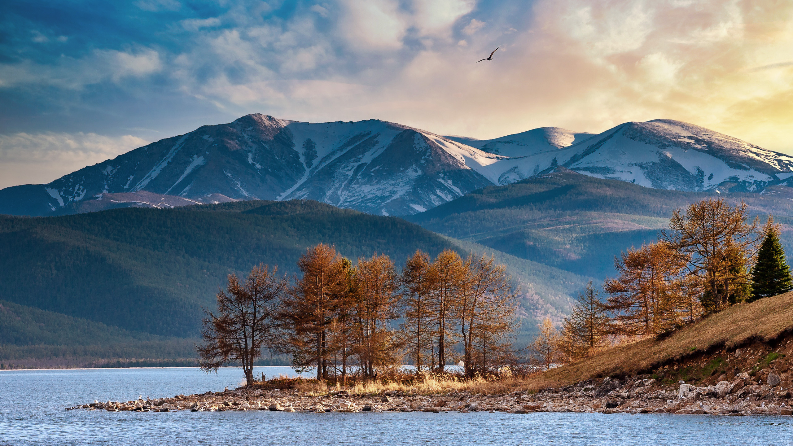 Dmitrii Sharov Photographer Israel