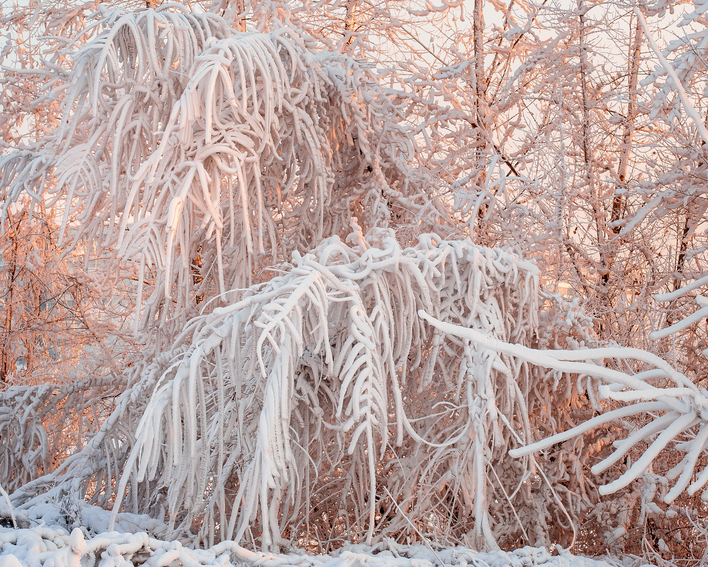 Formalism. Dmitrii Sharov Photographer Israel