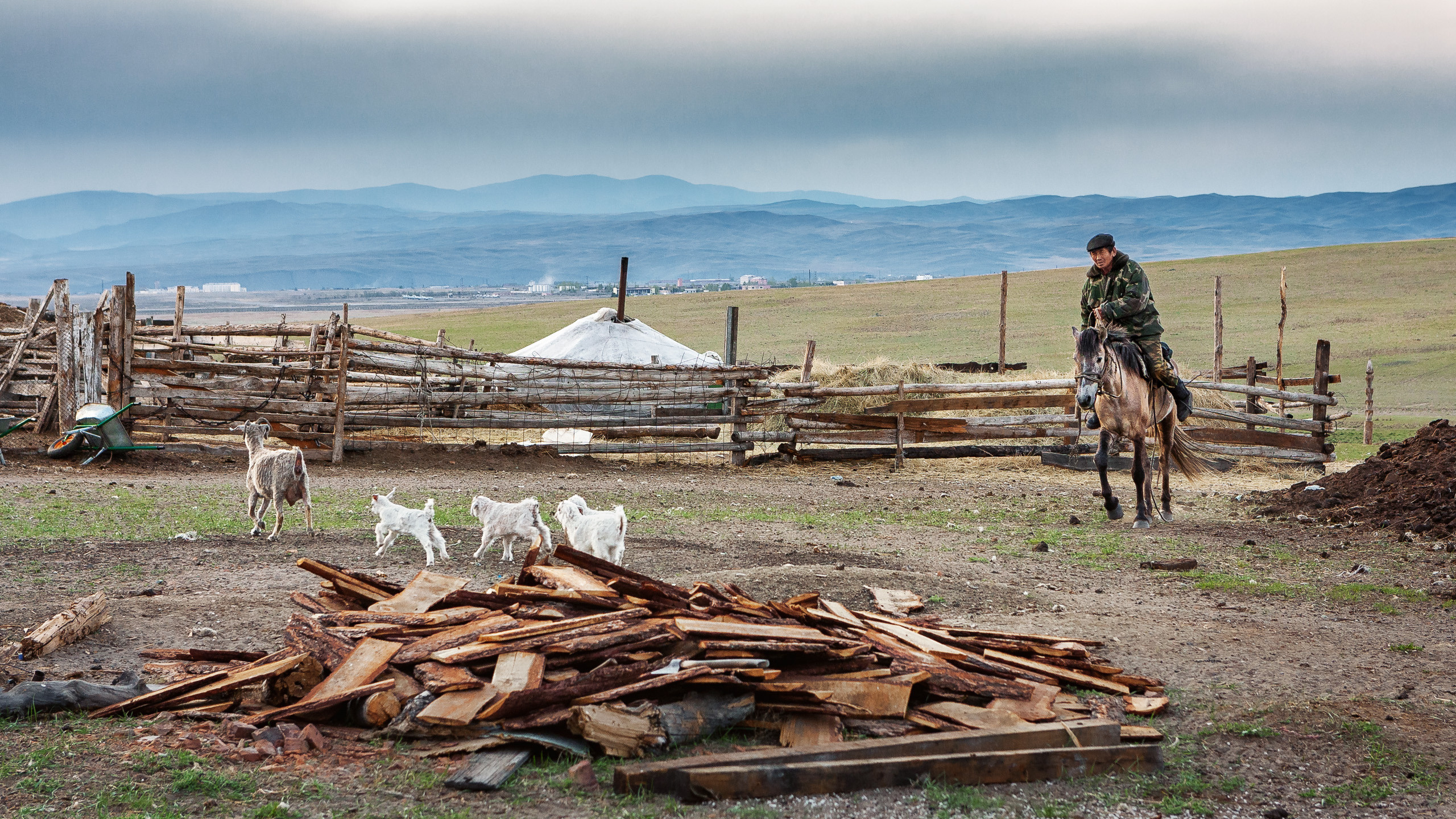 People. Dmitrii Sharov Photographer Israel