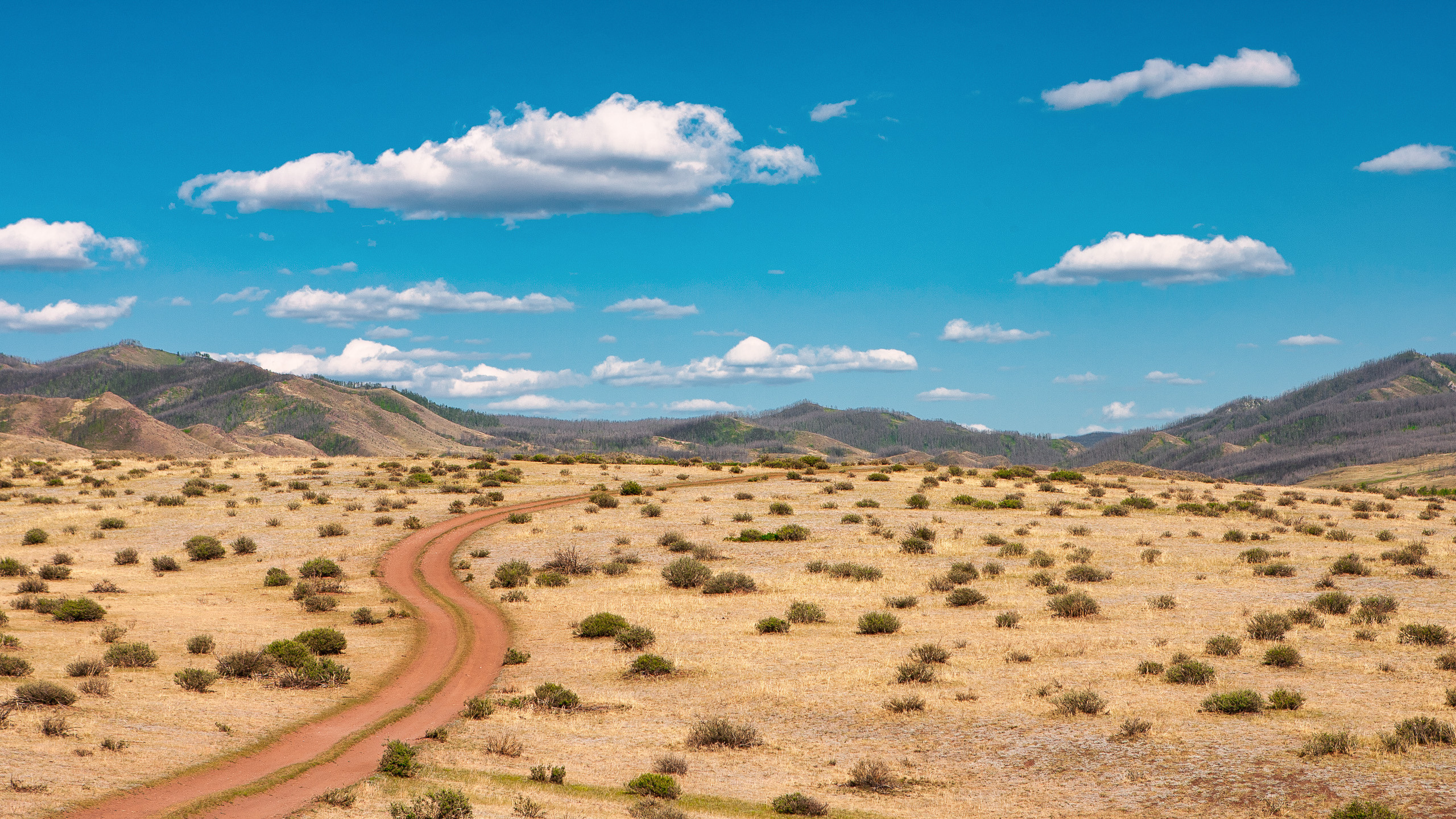 Landscape. Dmitrii Sharov Photographer Israel