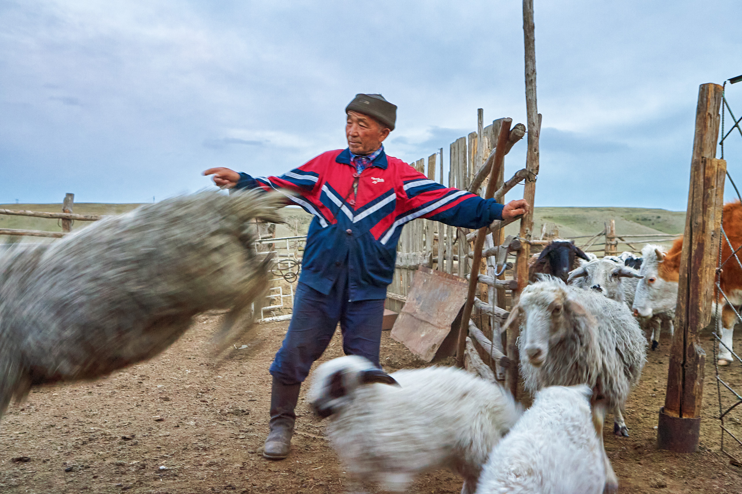 People. Dmitrii Sharov Photographer Israel