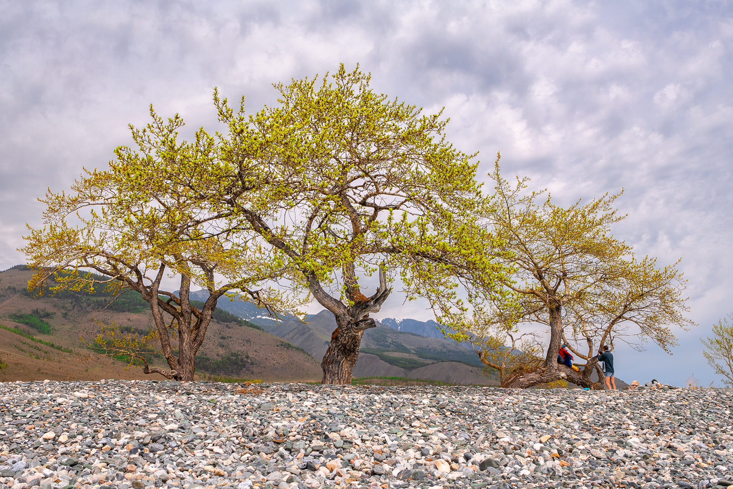 Landscape. Dmitrii Sharov Photographer Israel