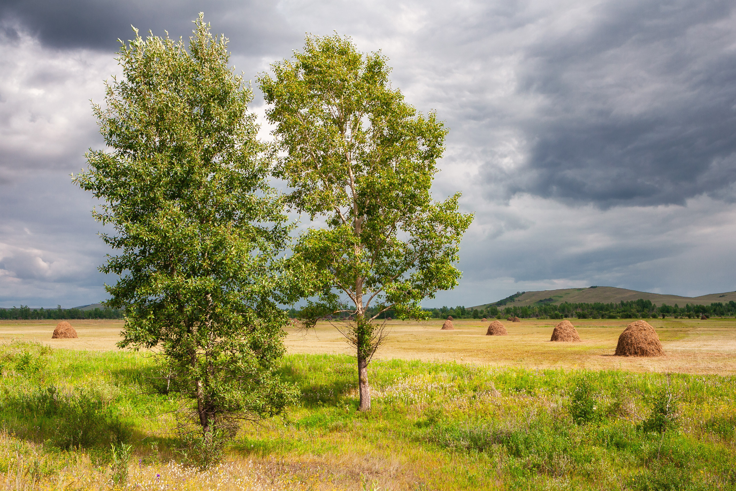 Landscape. Dmitrii Sharov Photographer Israel