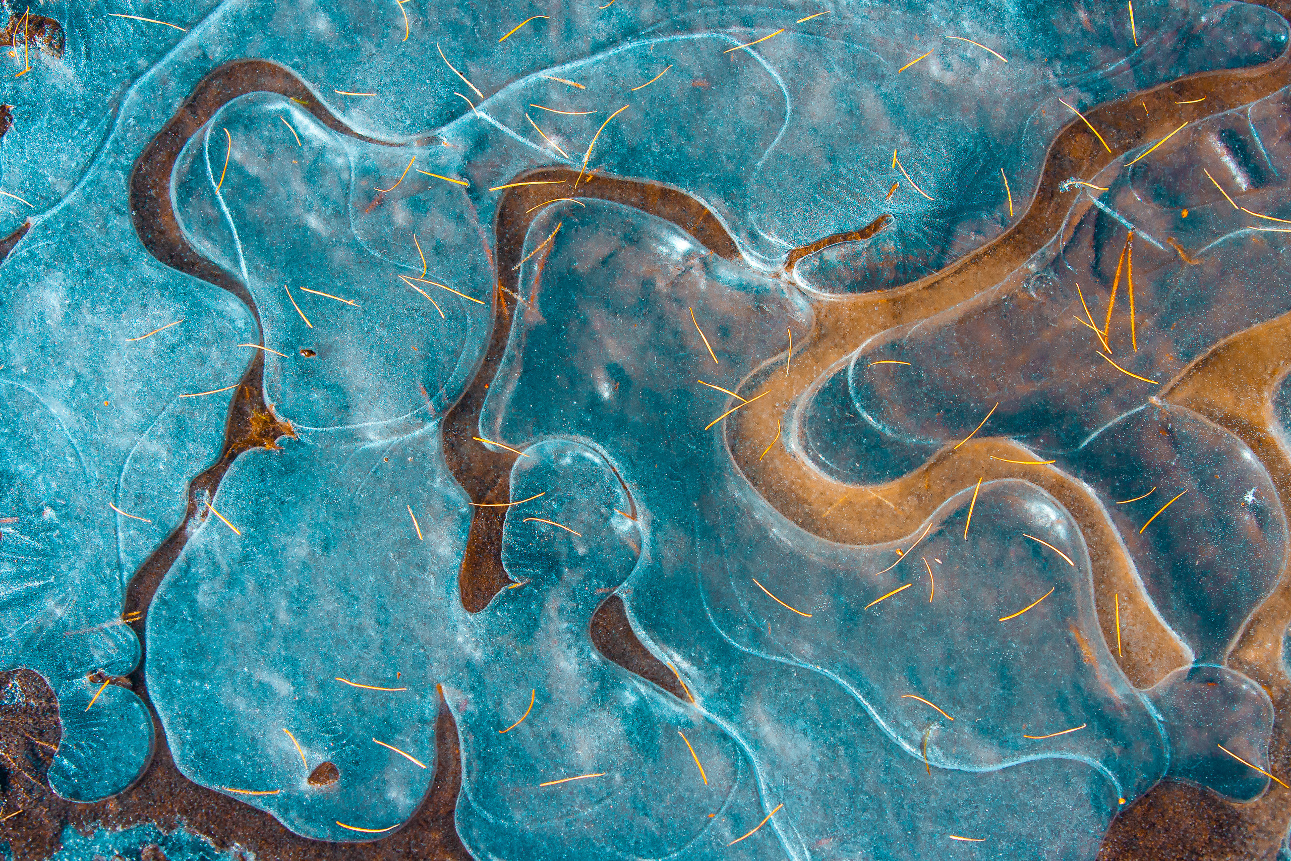 Formalism. Dmitrii Sharov Photographer Israel