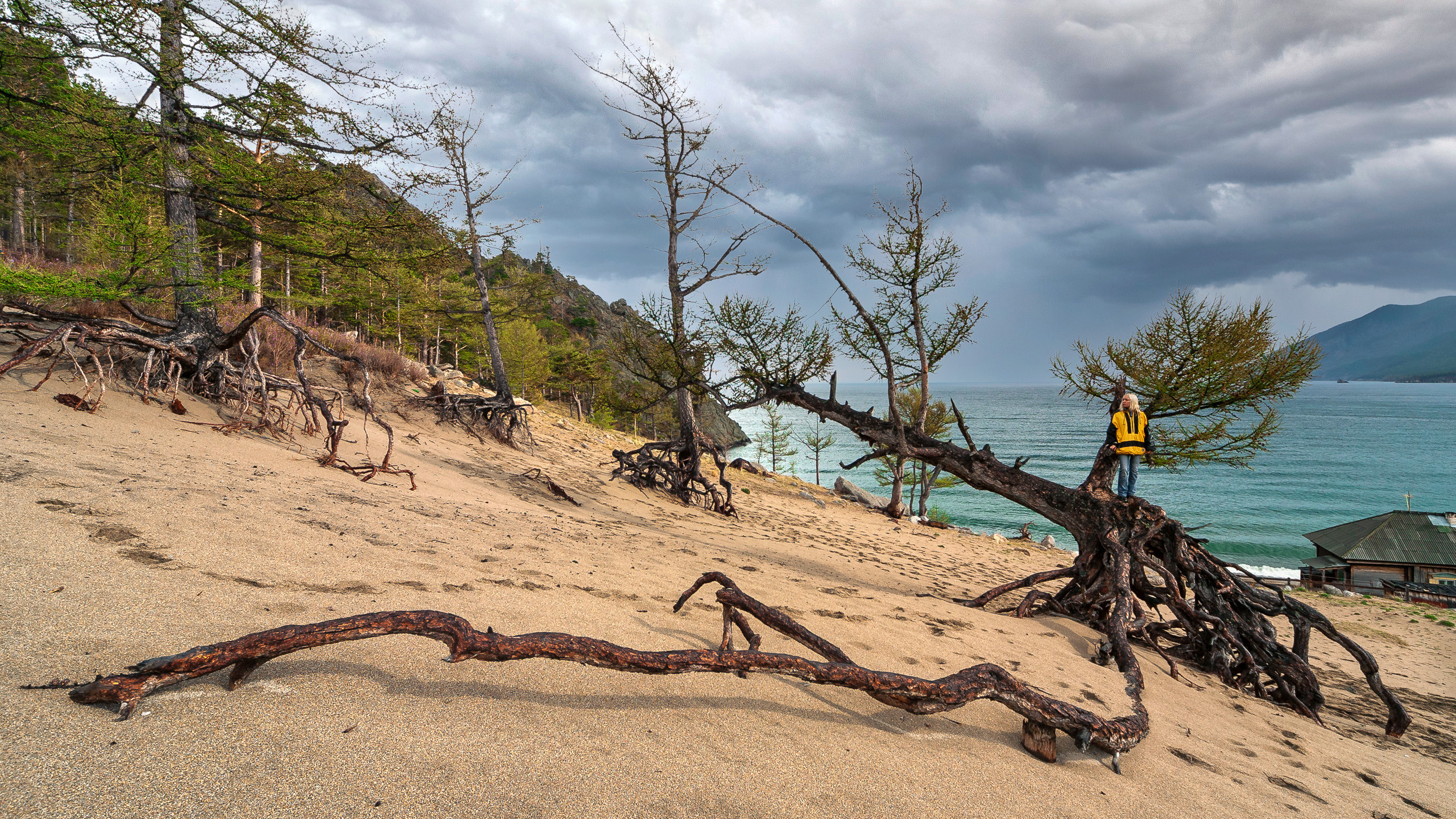 Landscape. Dmitrii Sharov Photographer Israel