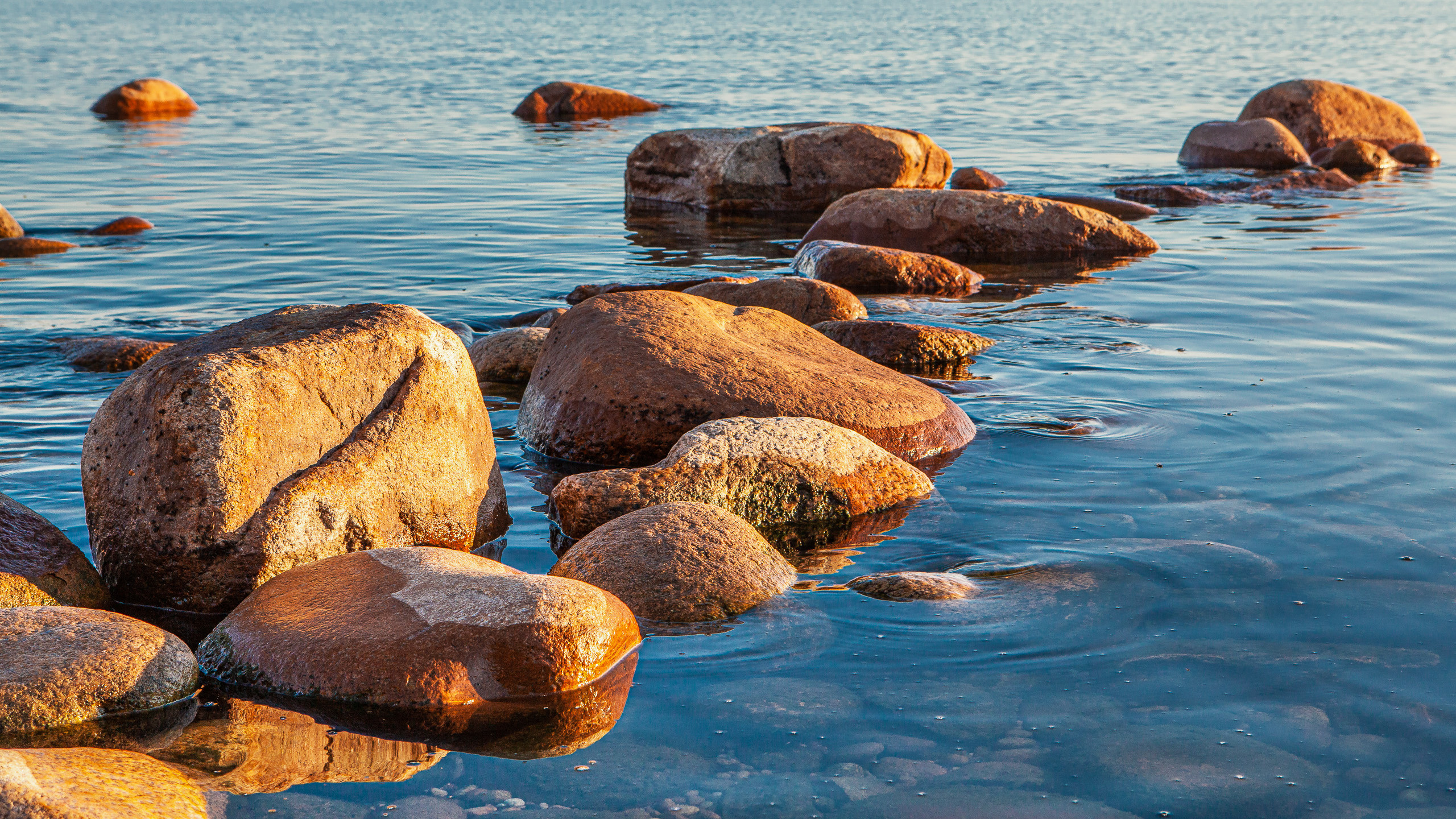 Landscape. Dmitrii Sharov Photographer Israel