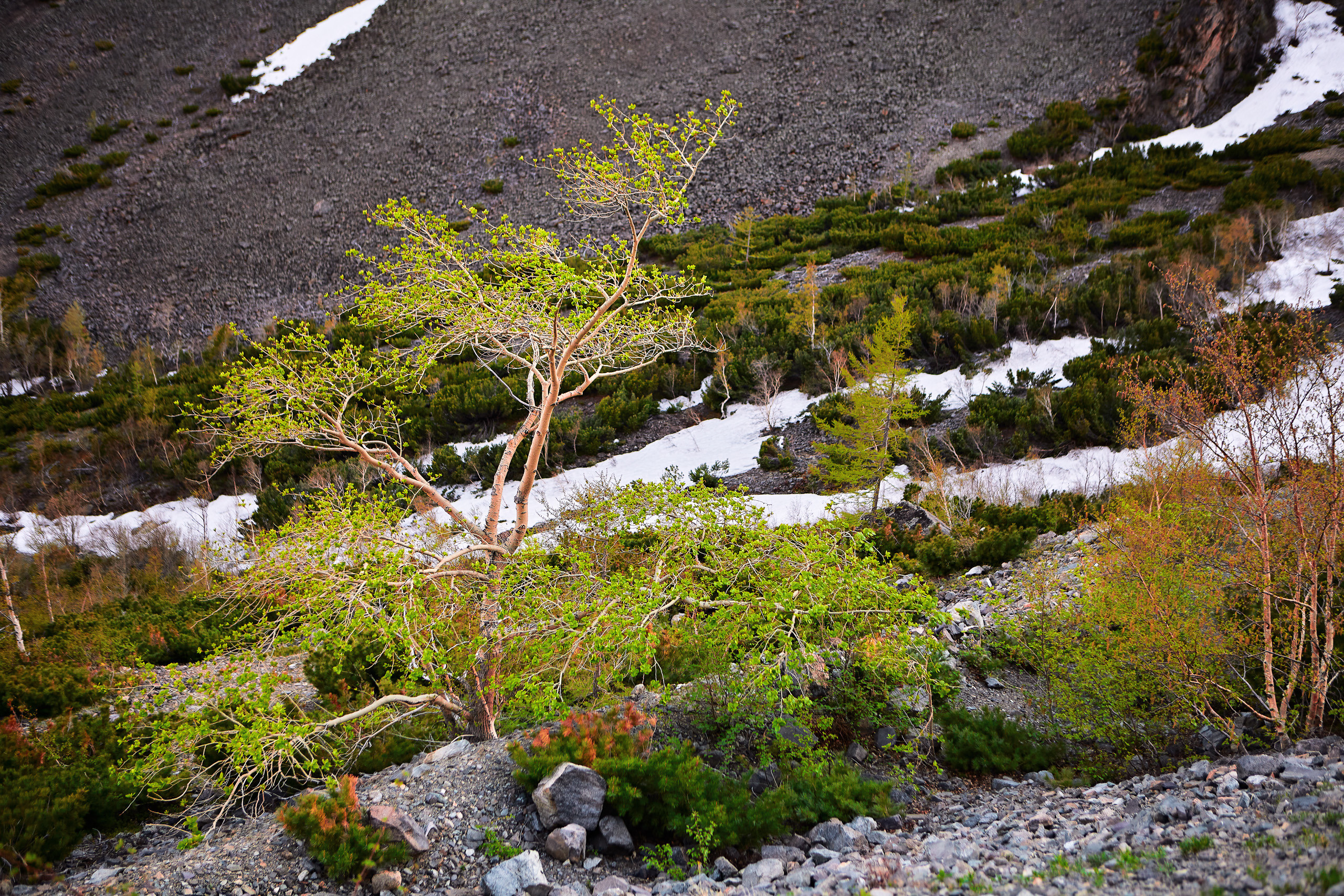 Formalism. Dmitrii Sharov Photographer Israel