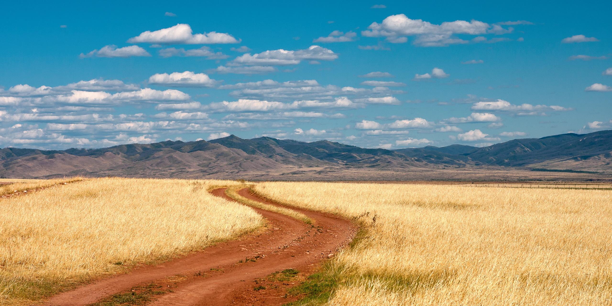 Landscape. Dmitrii Sharov Photographer Israel