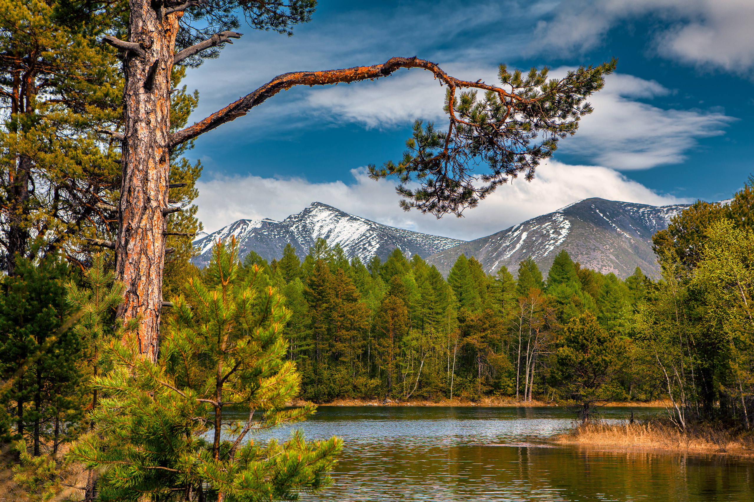 Landscape. Dmitrii Sharov Photographer Israel