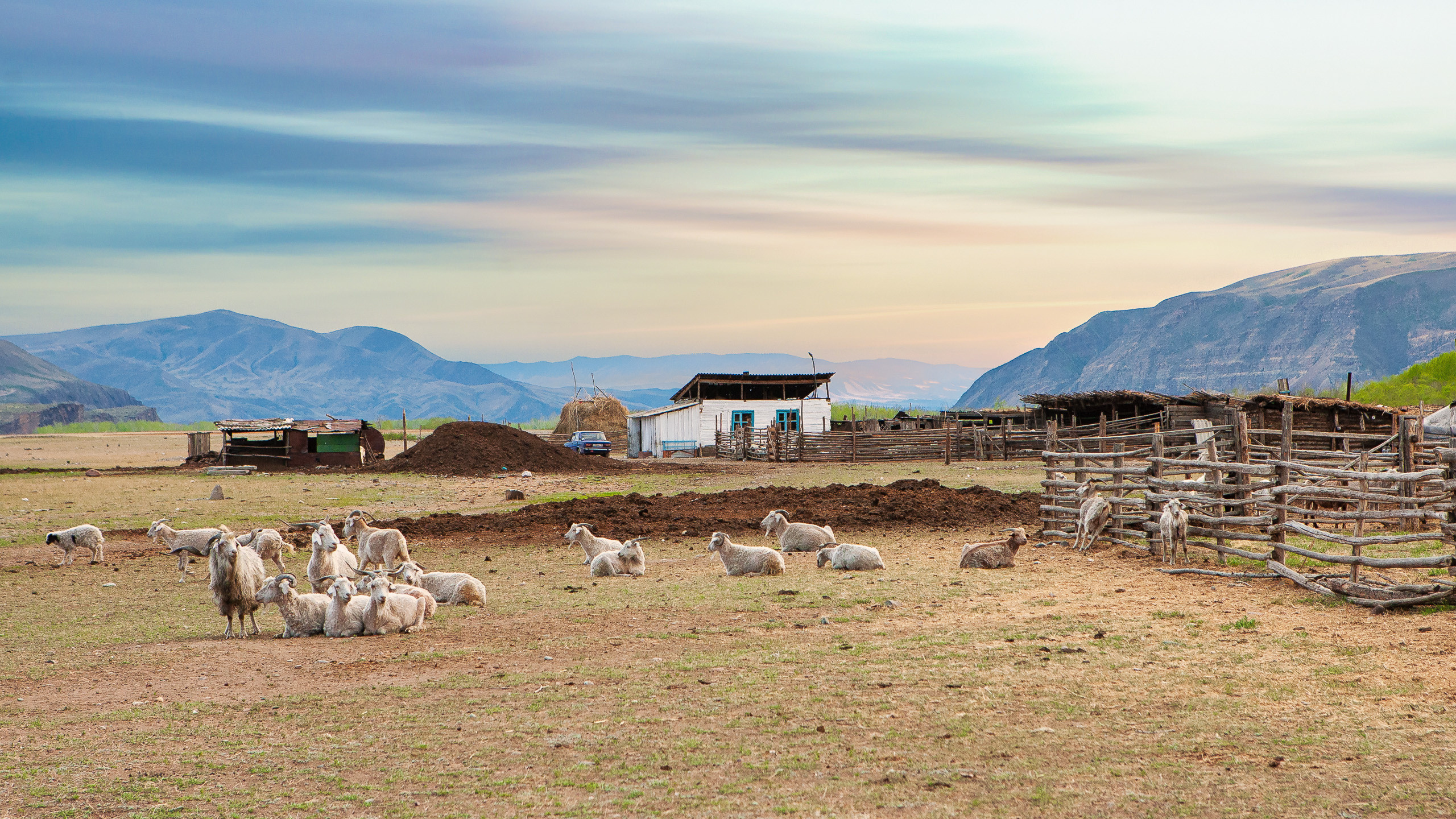 Landscape. Dmitrii Sharov Photographer Israel