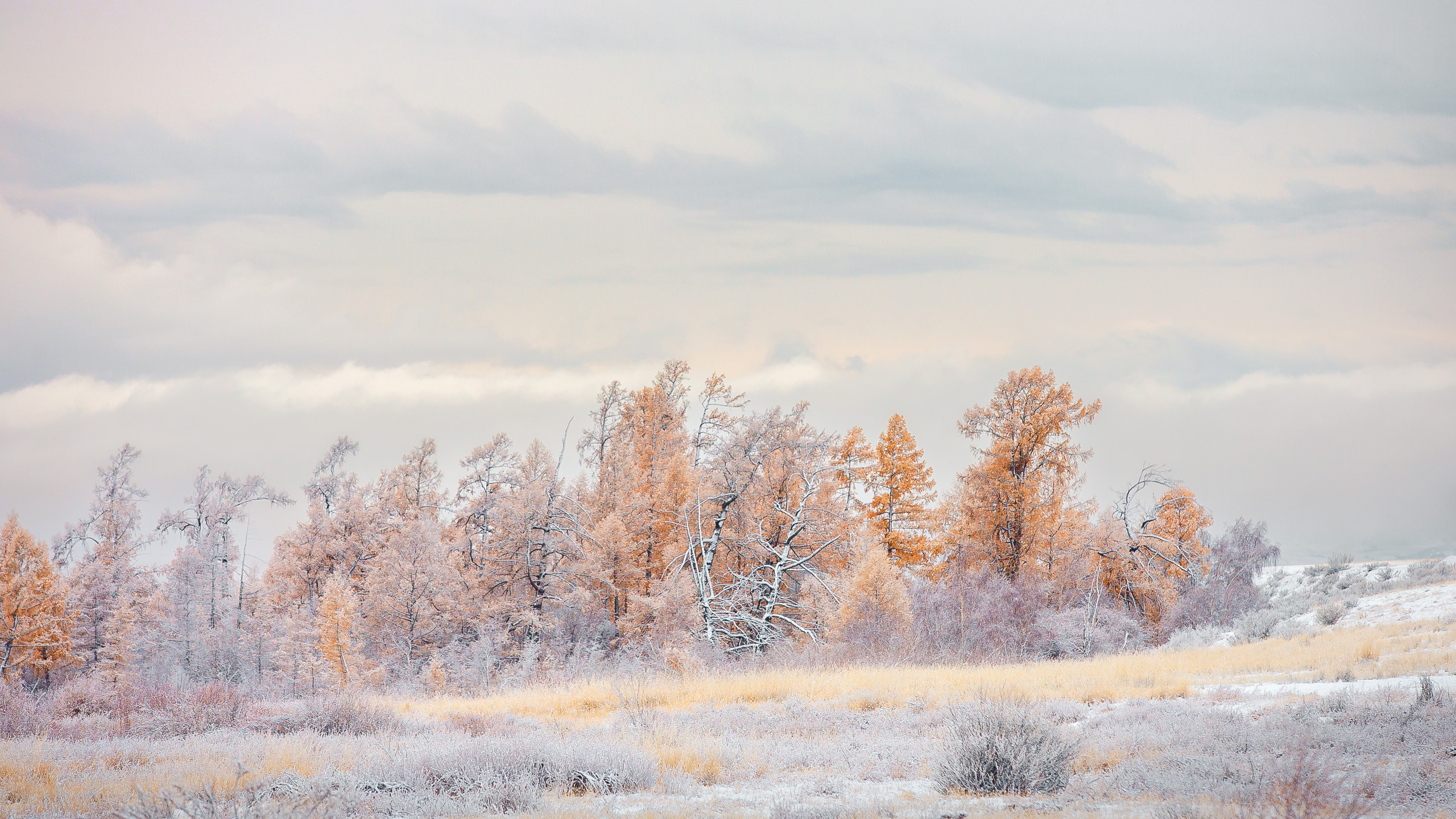 Landscape. Dmitrii Sharov Photographer Israel