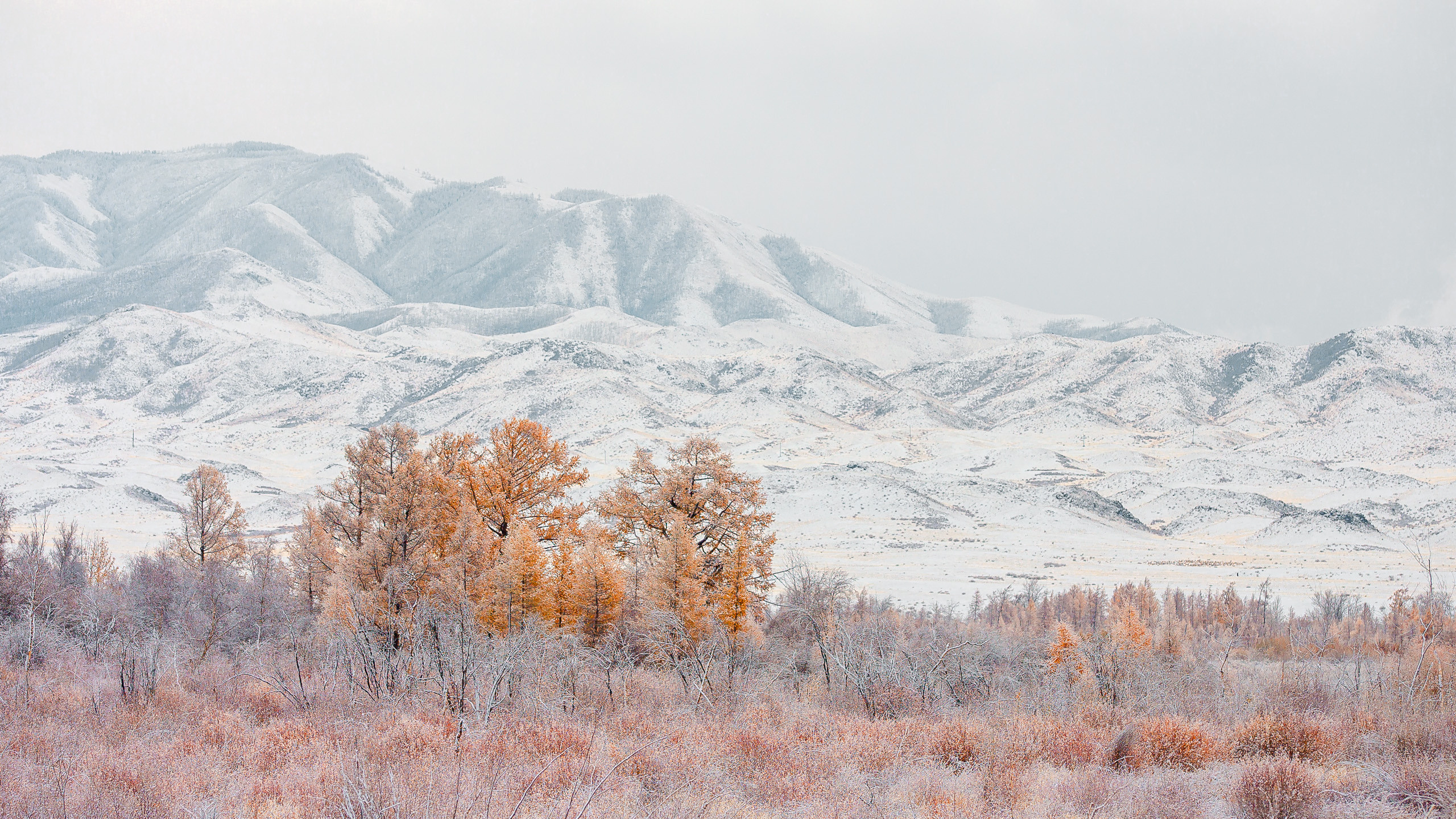 Landscape. Dmitrii Sharov Photographer Israel