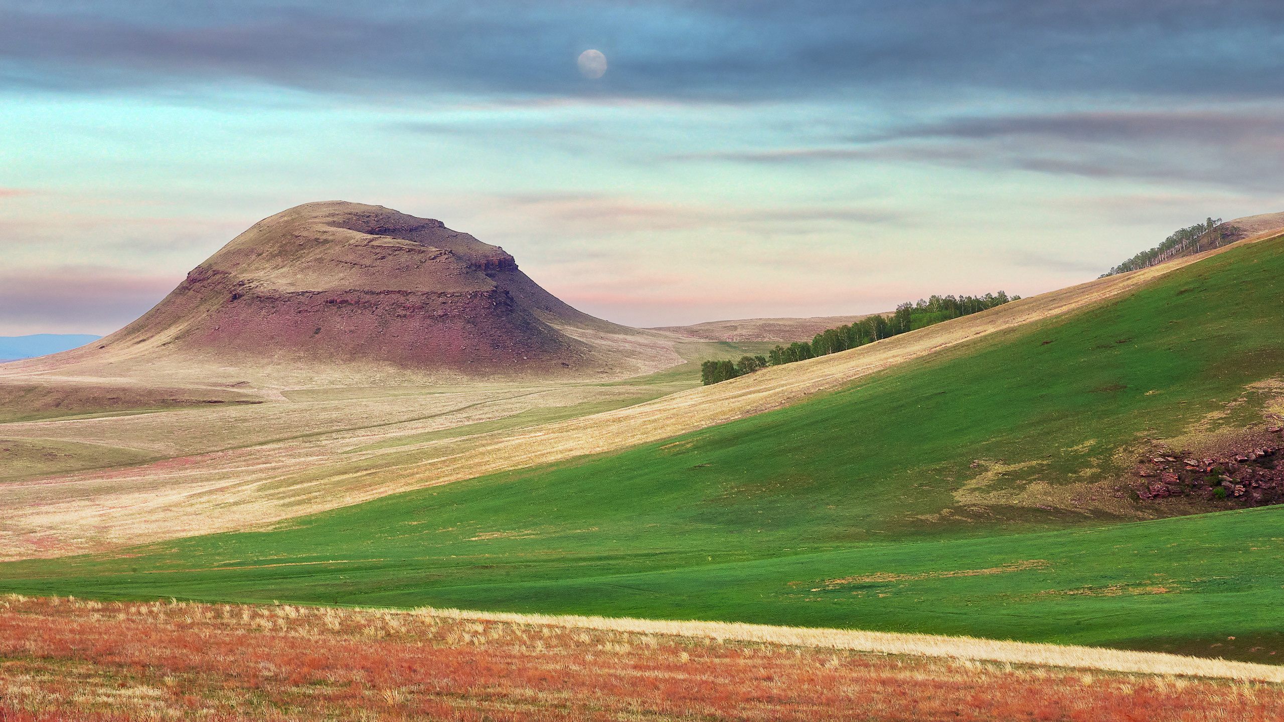 Landscape. Dmitrii Sharov Photographer Israel