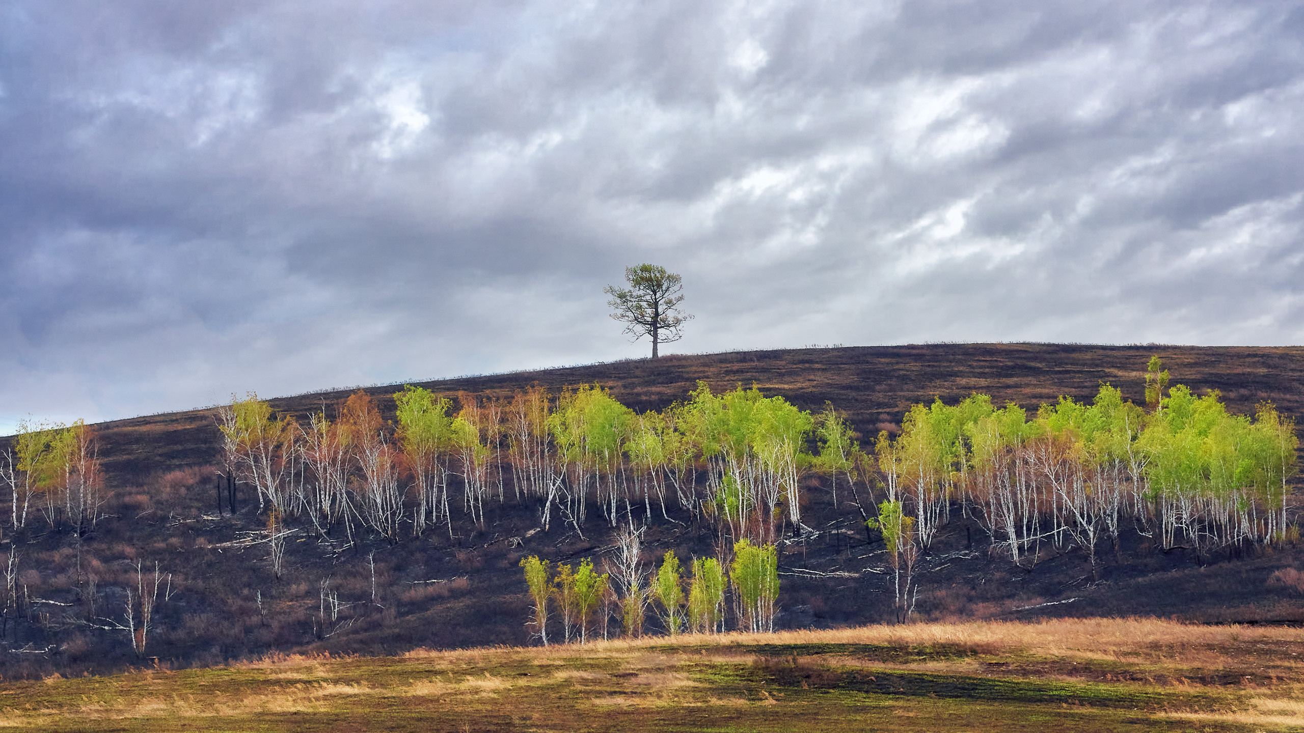 Landscape. Dmitrii Sharov Photographer Israel