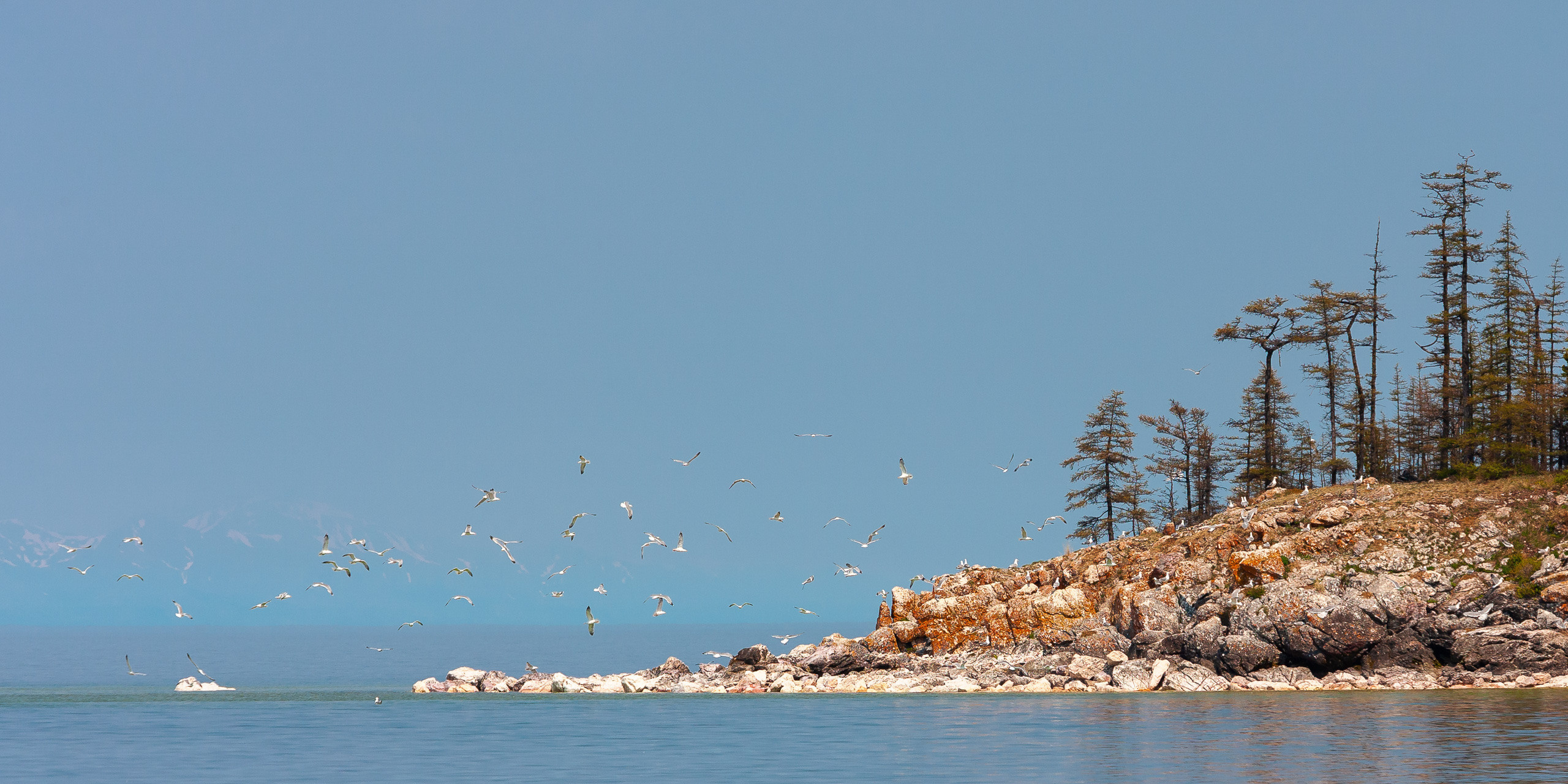 Landscape. Dmitrii Sharov Photographer Israel