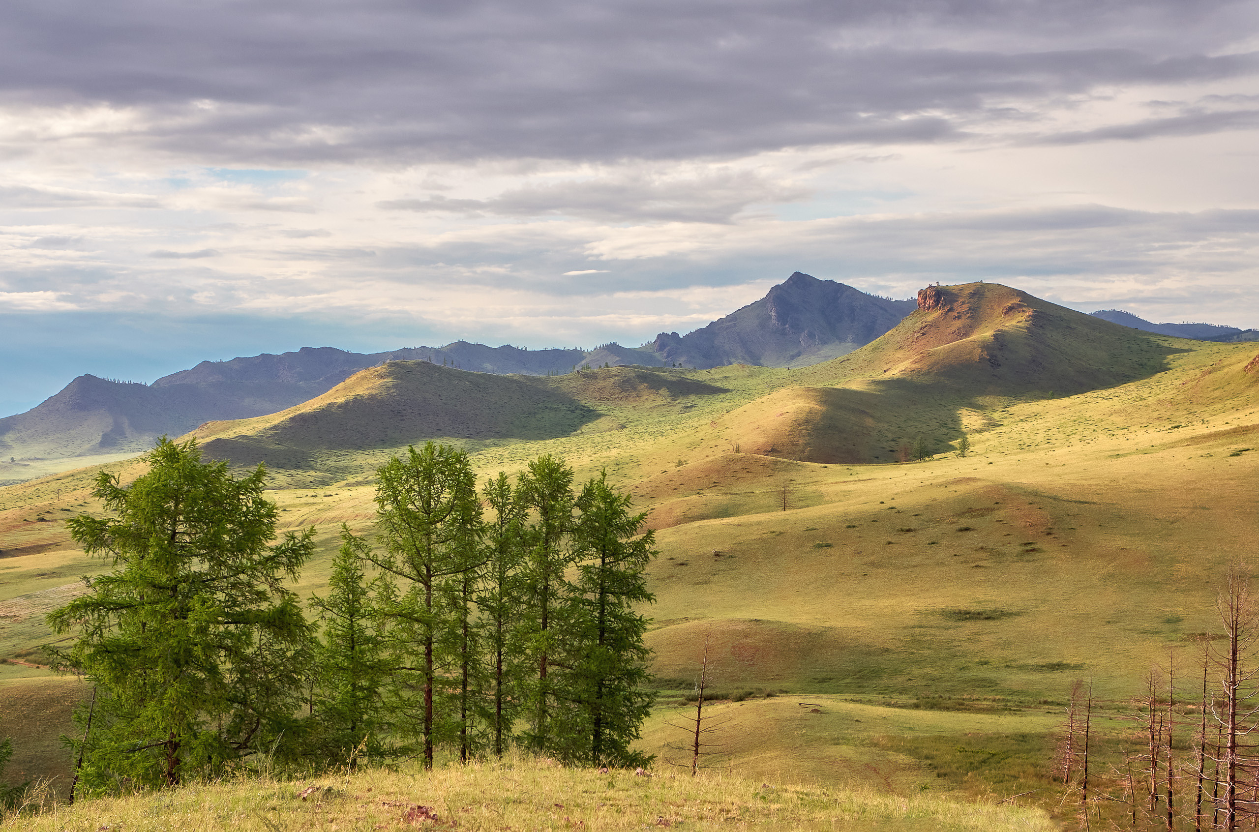 Landscape. Dmitrii Sharov Photographer Israel