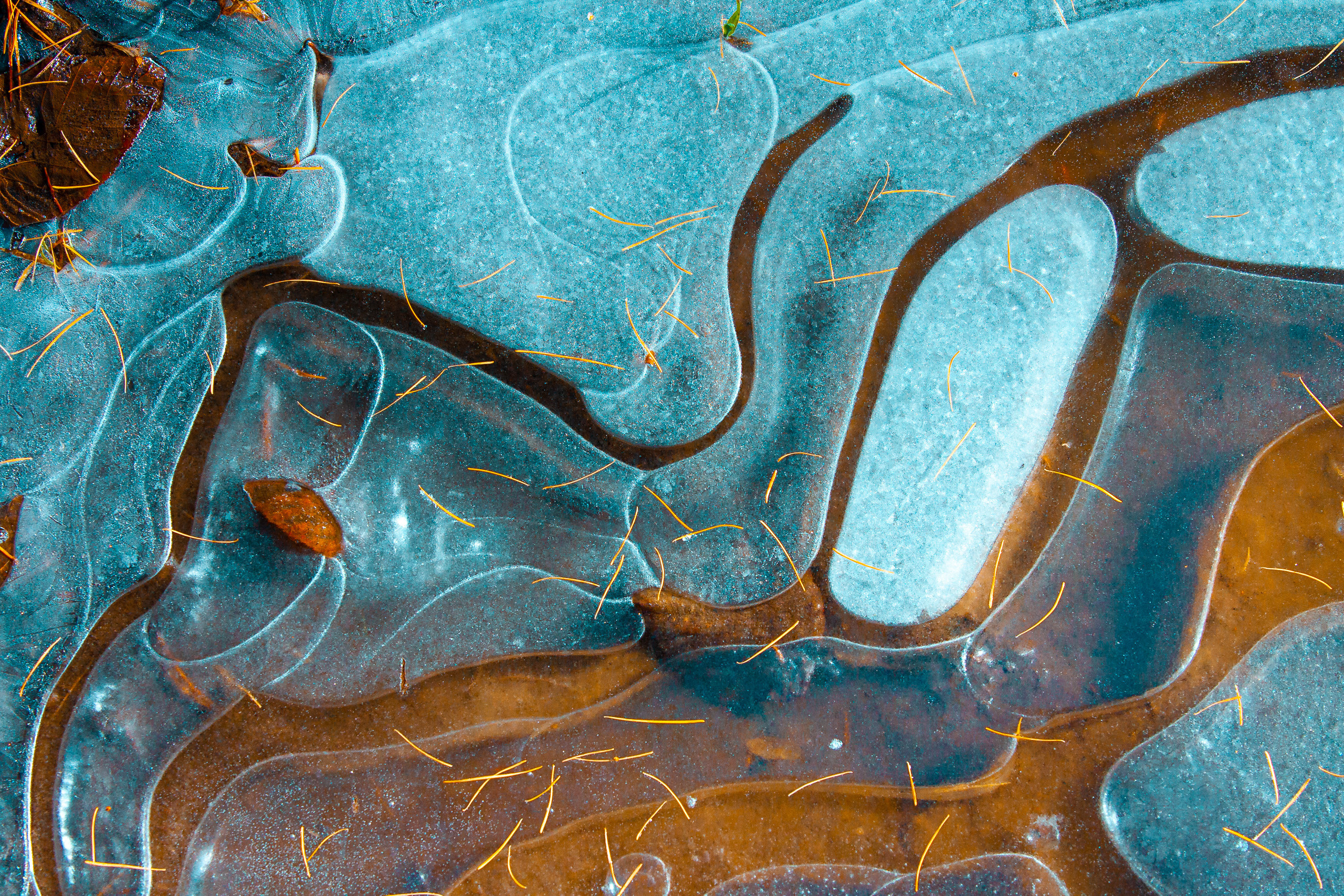 Formalism. Dmitrii Sharov Photographer Israel