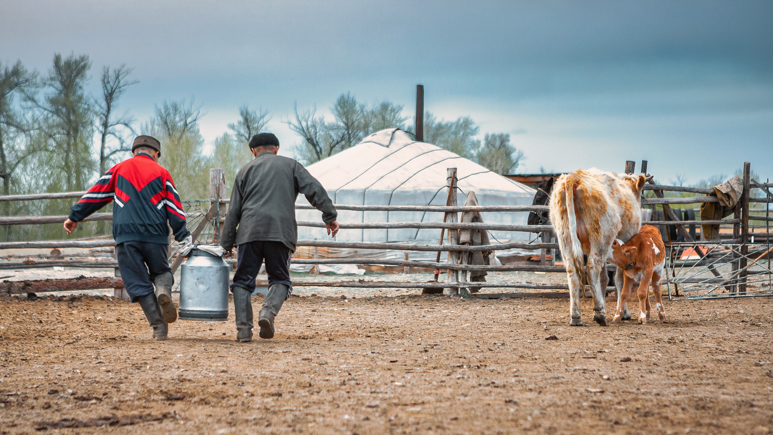 People. Dmitrii Sharov Photographer Israel