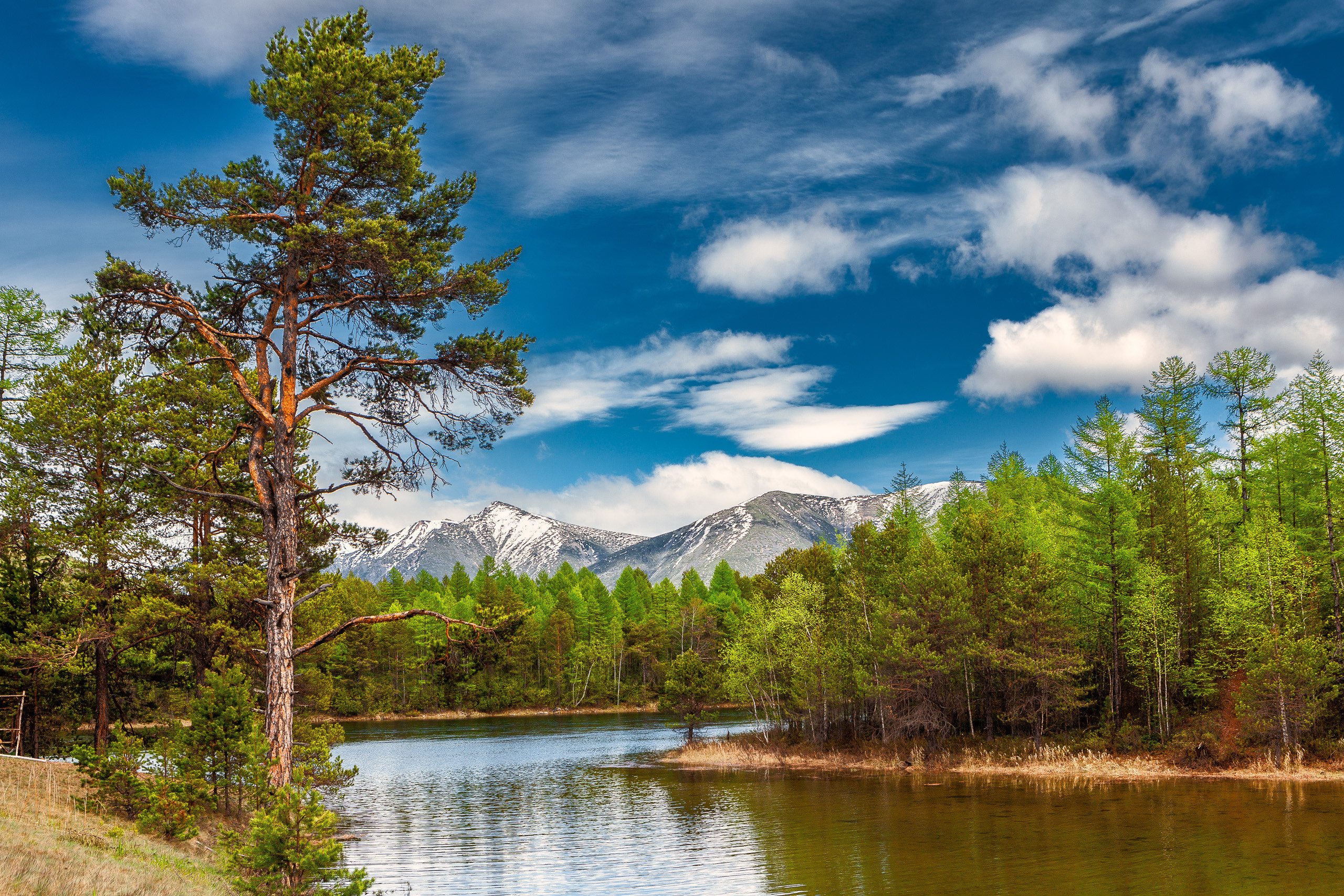 Landscape. Dmitrii Sharov Photographer Israel
