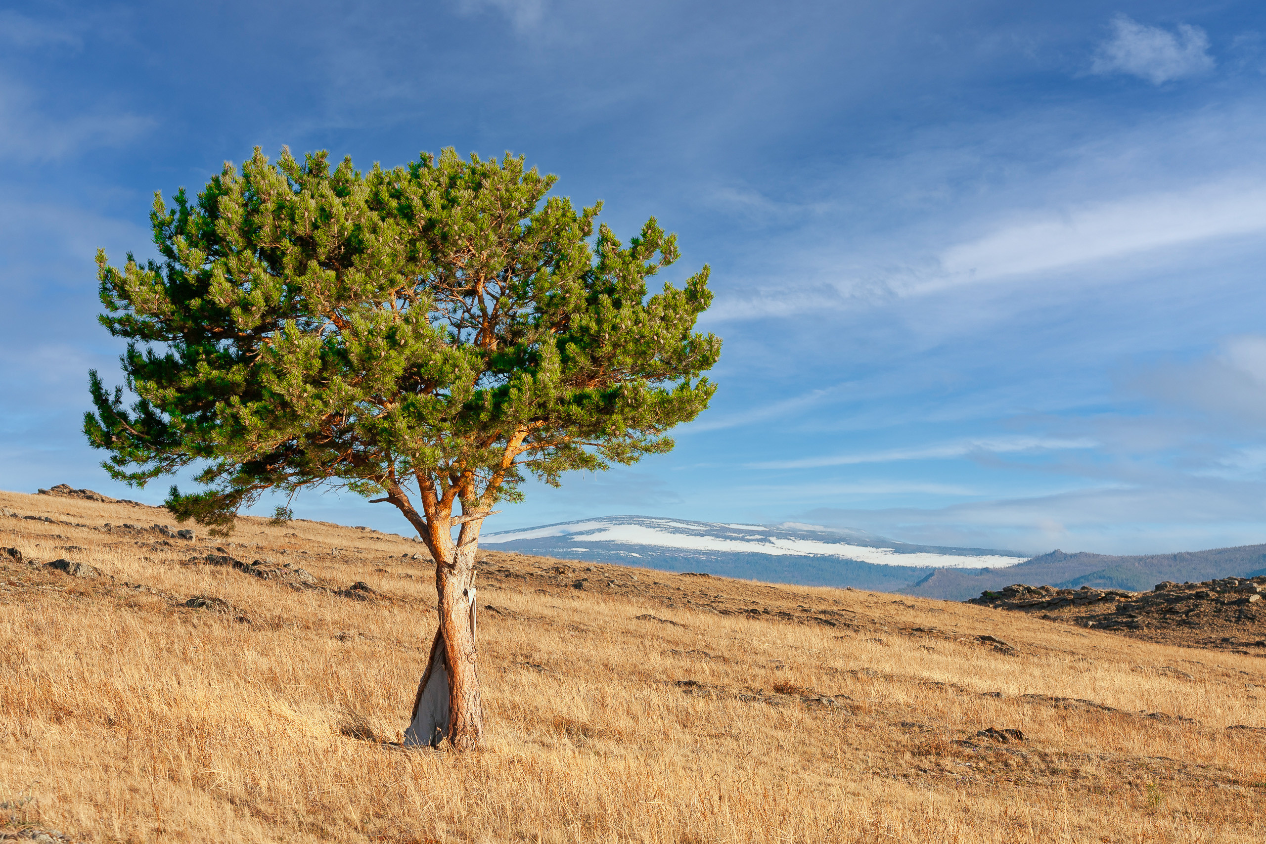 Landscape. Dmitrii Sharov Photographer Israel