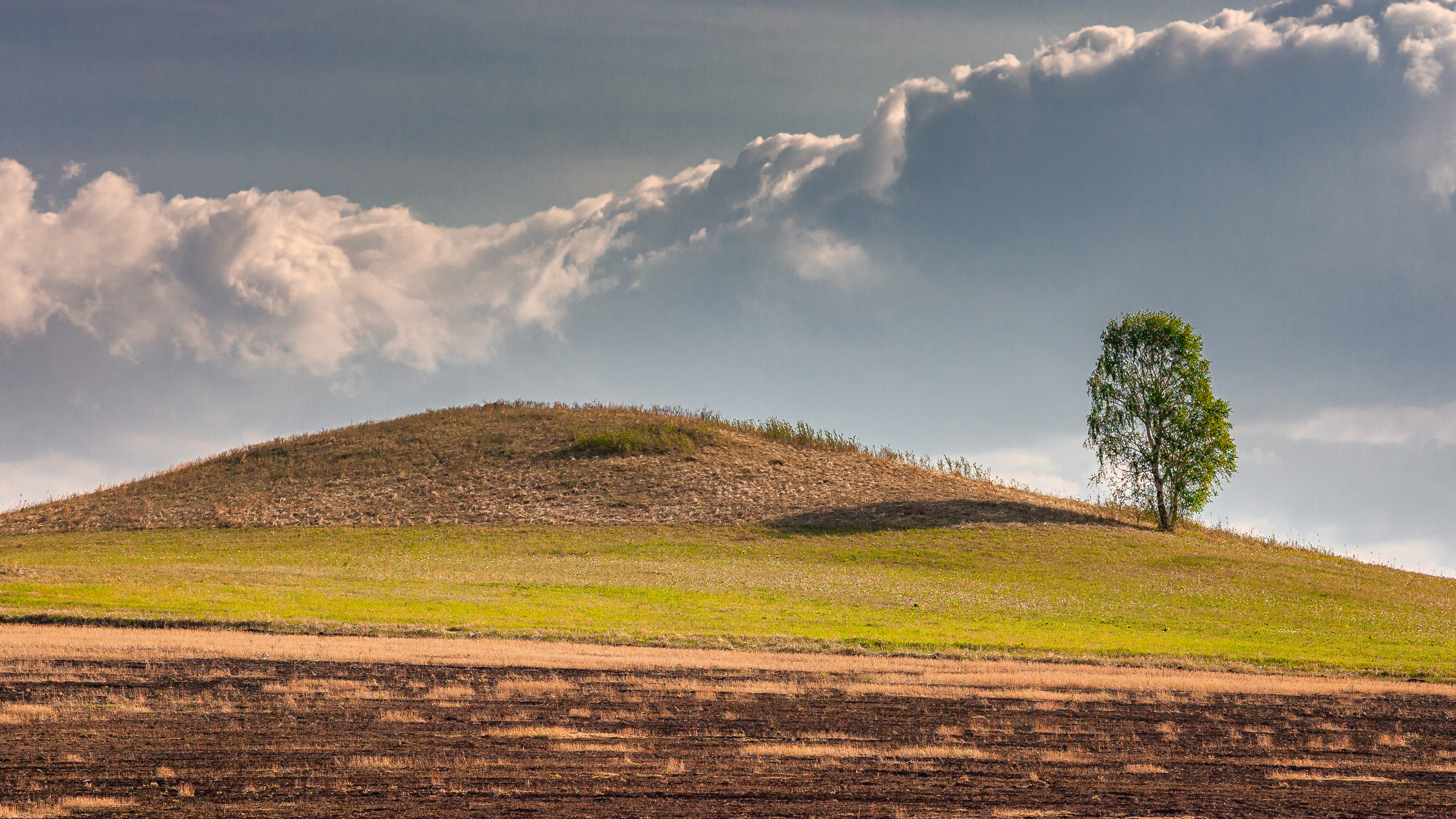 Landscape. Dmitrii Sharov Photographer Israel