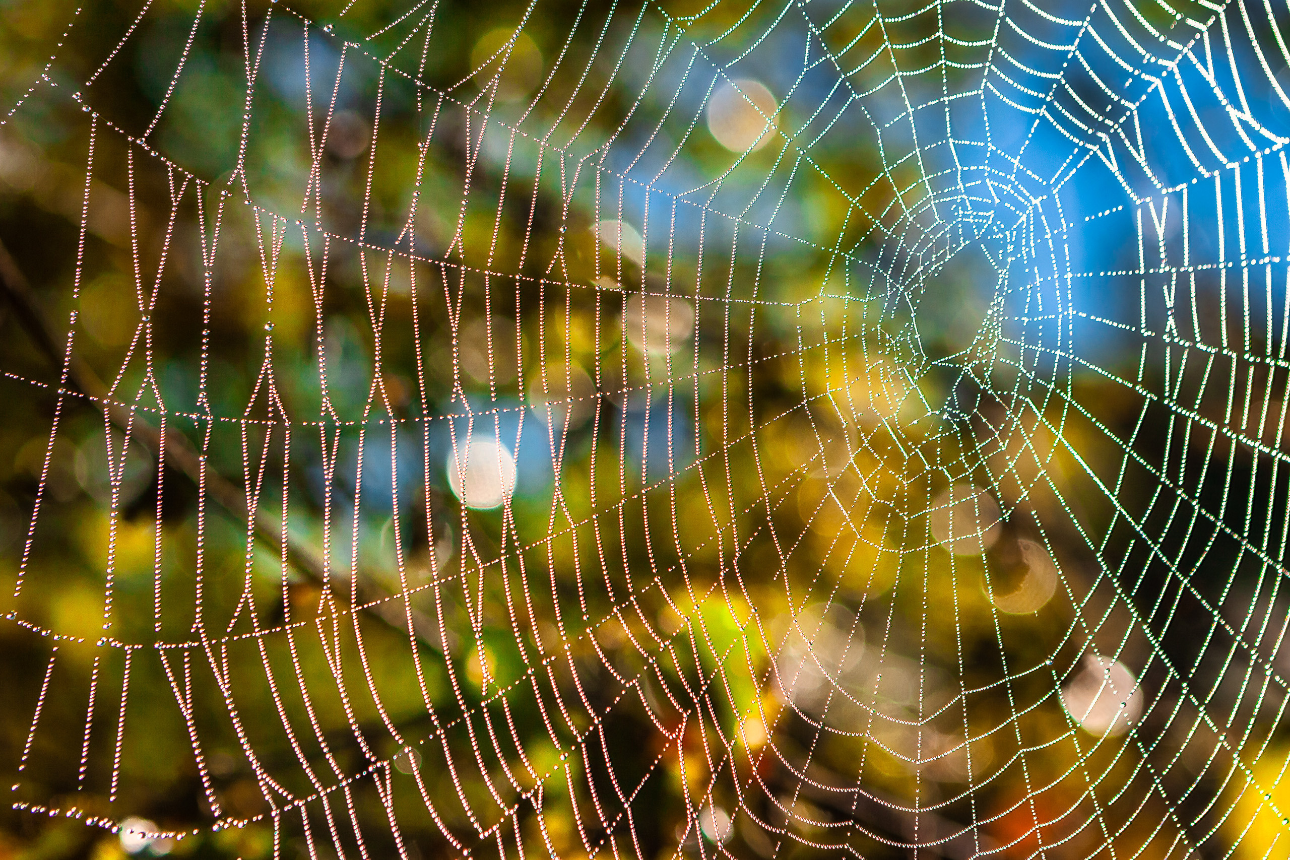 Formalism. Dmitrii Sharov Photographer Israel