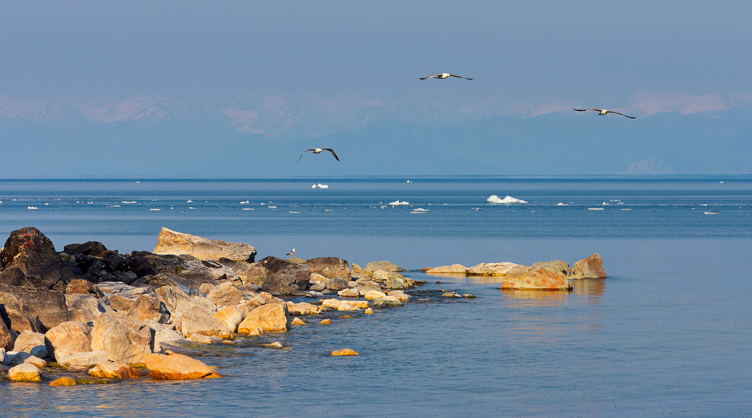 Landscape. Dmitrii Sharov Photographer Israel