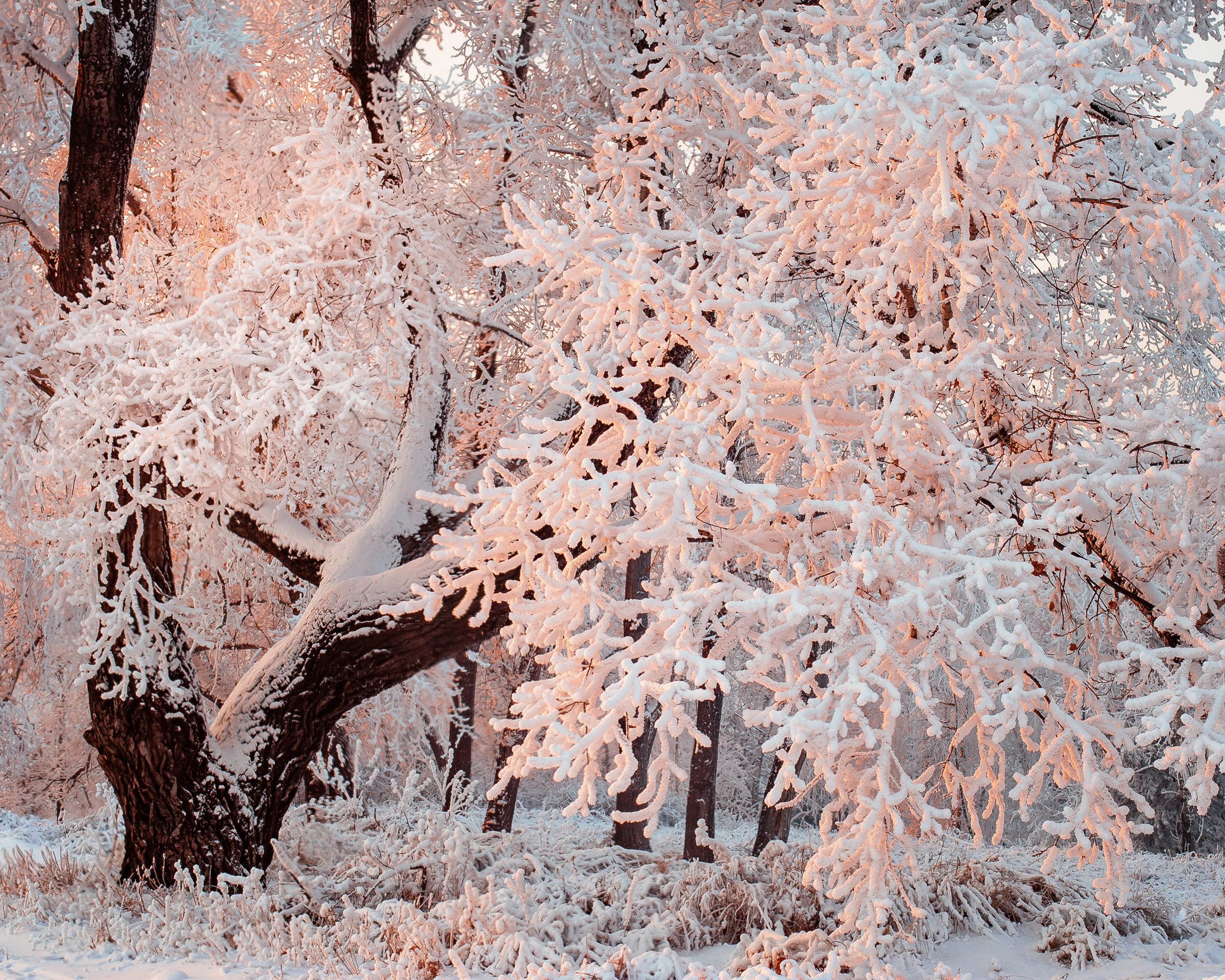 Formalism. Dmitrii Sharov Photographer Israel