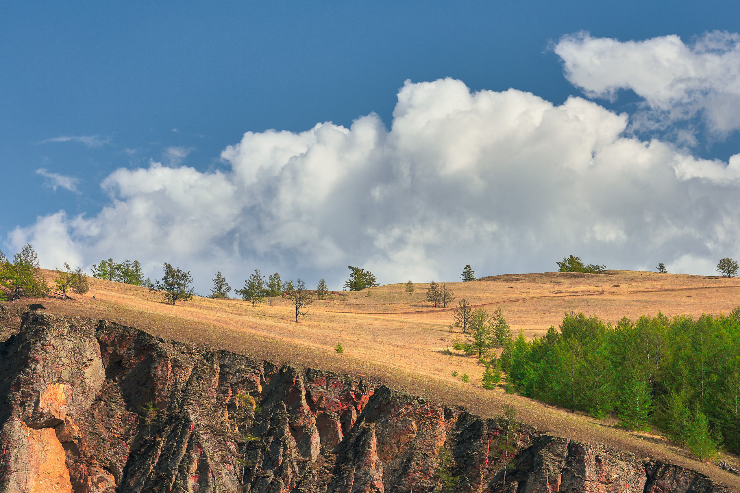 Landscape. Dmitrii Sharov Photographer Israel