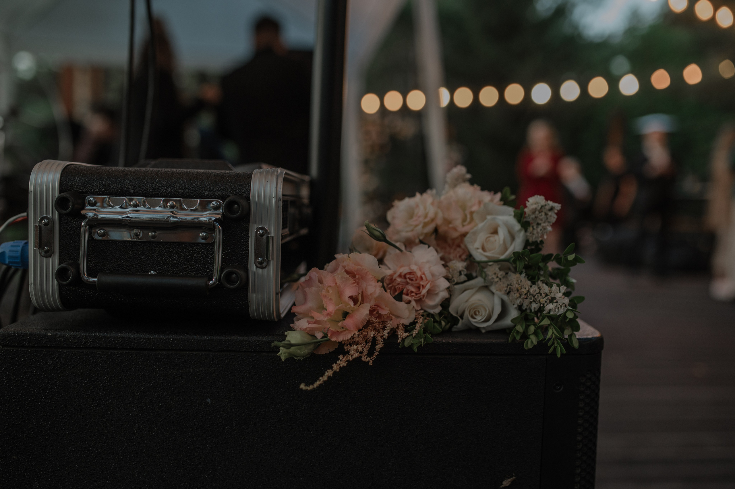 Party. Wedding and commercial photographer