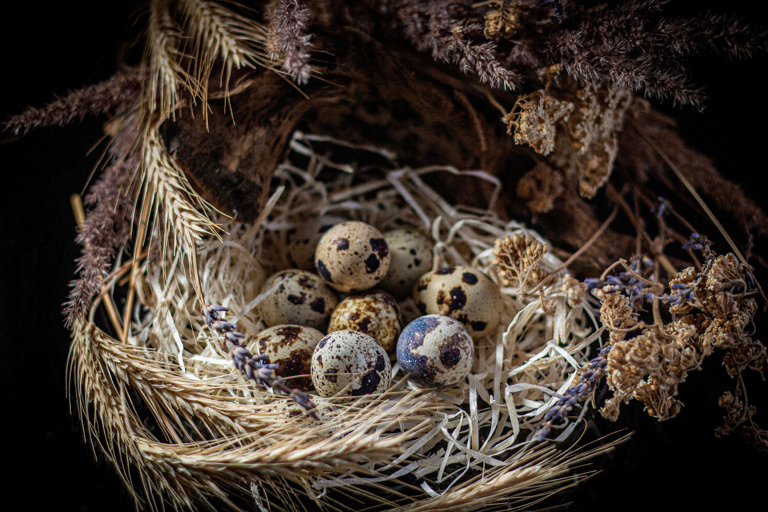 Martwa natura. Główny