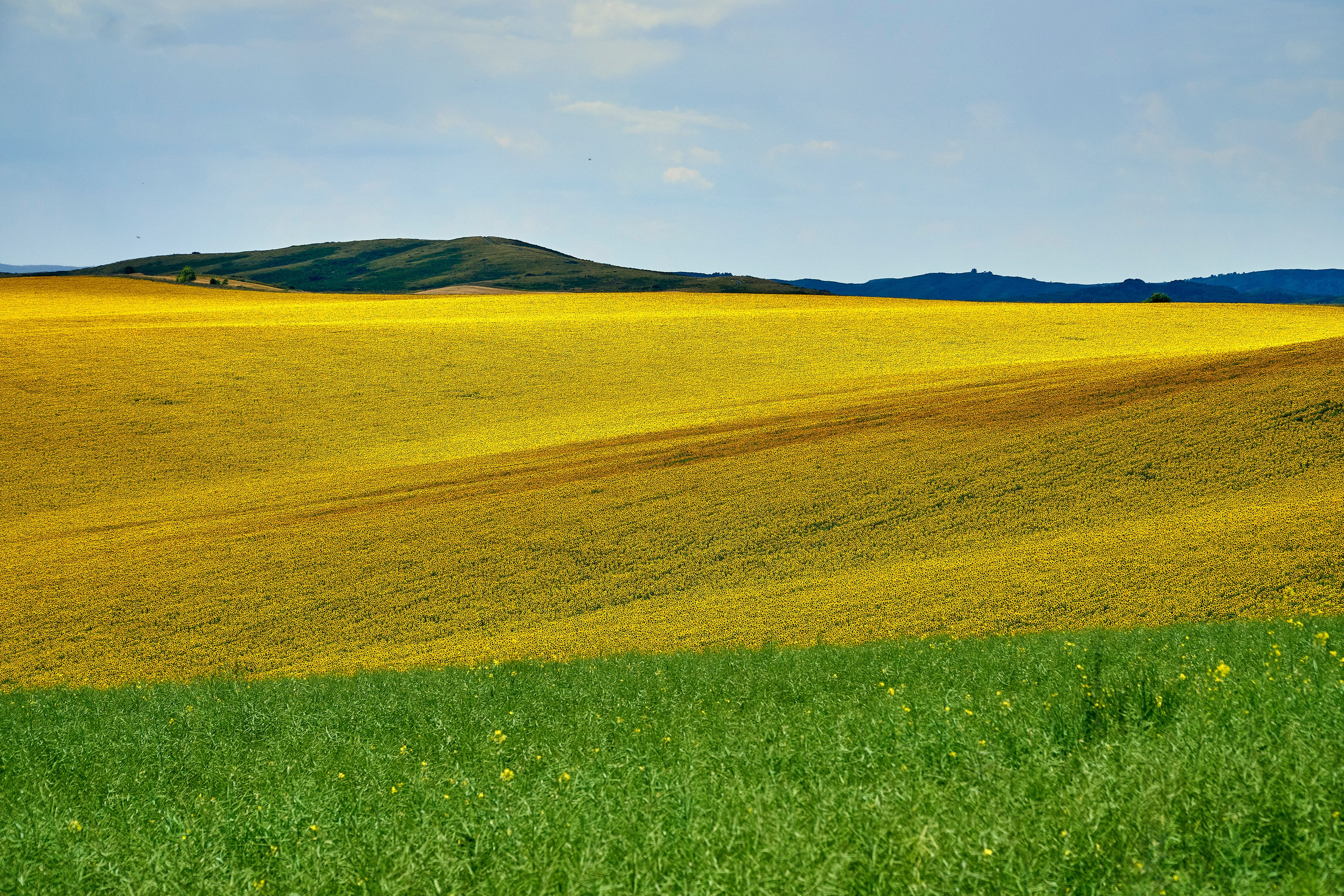 Buchtarma (Kazachstan). Andriej Szypilow - Fotografia & Wideografia